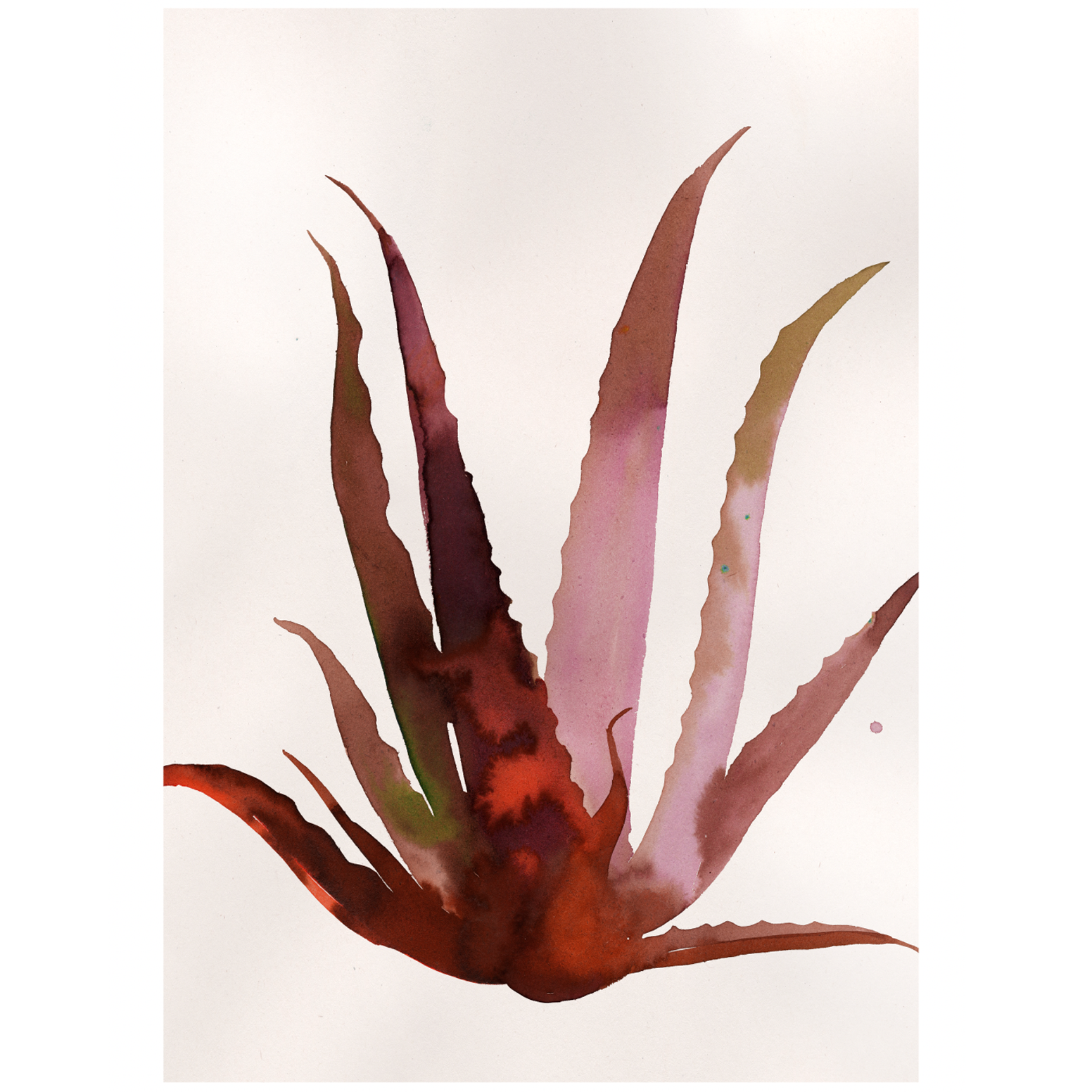 ALOE.png