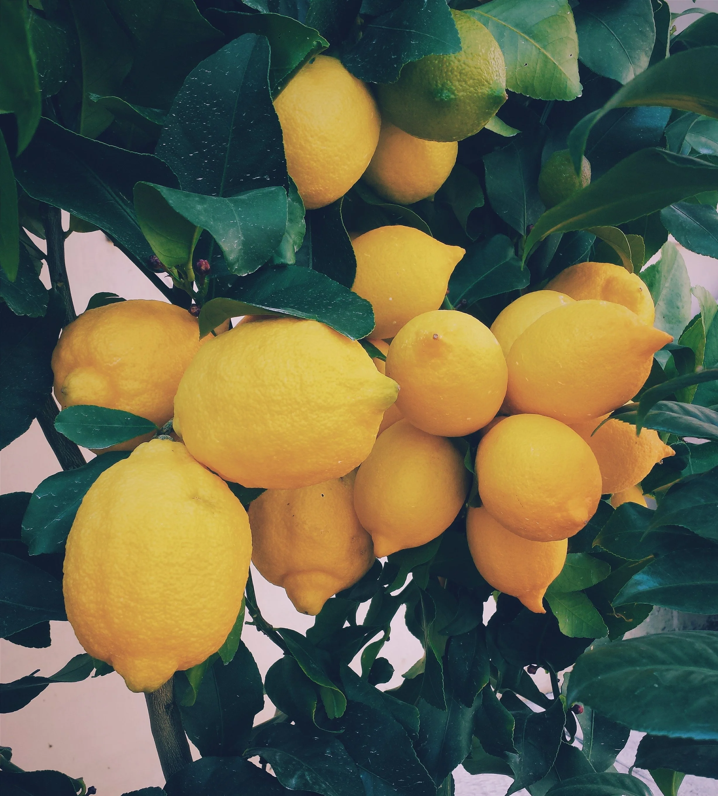 Photo by Ernest Porzi on Unsplash