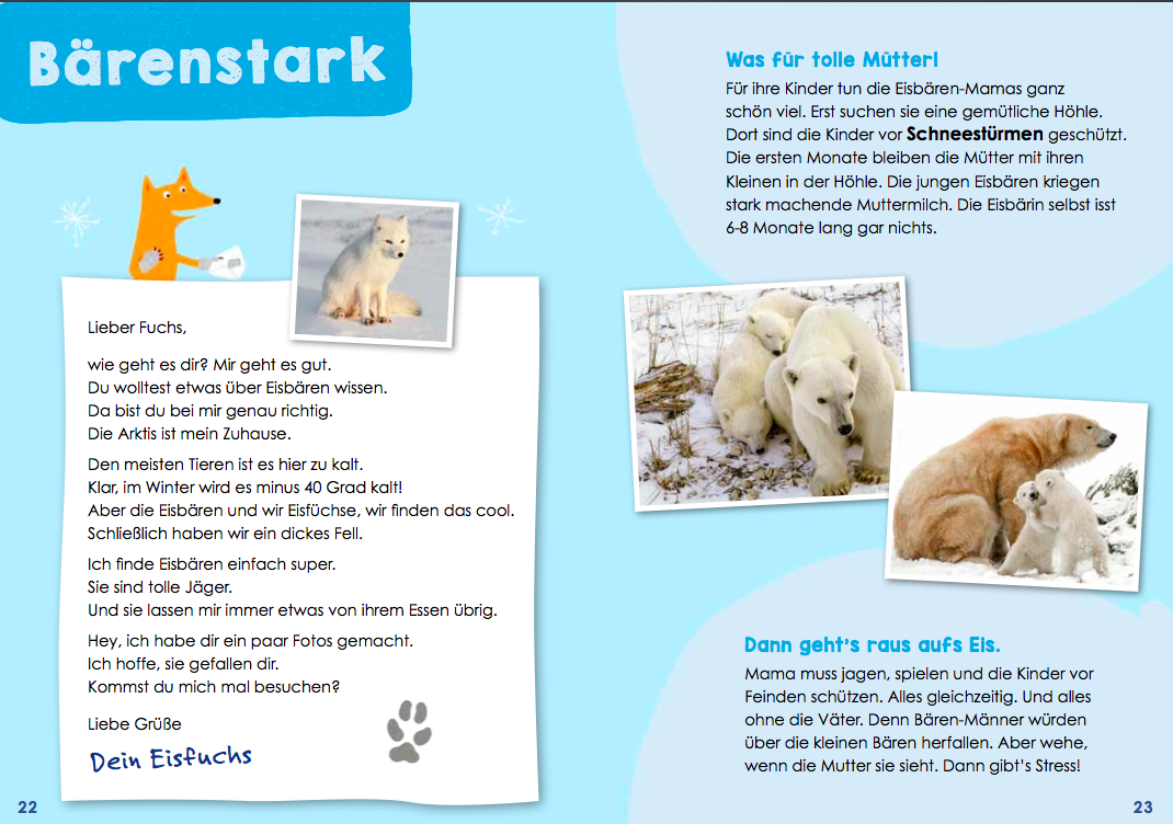 Kathrin Köller, Julia Dürr, Wild! Tierisches vom Tiger bis zum Känguru, Ueberreuter