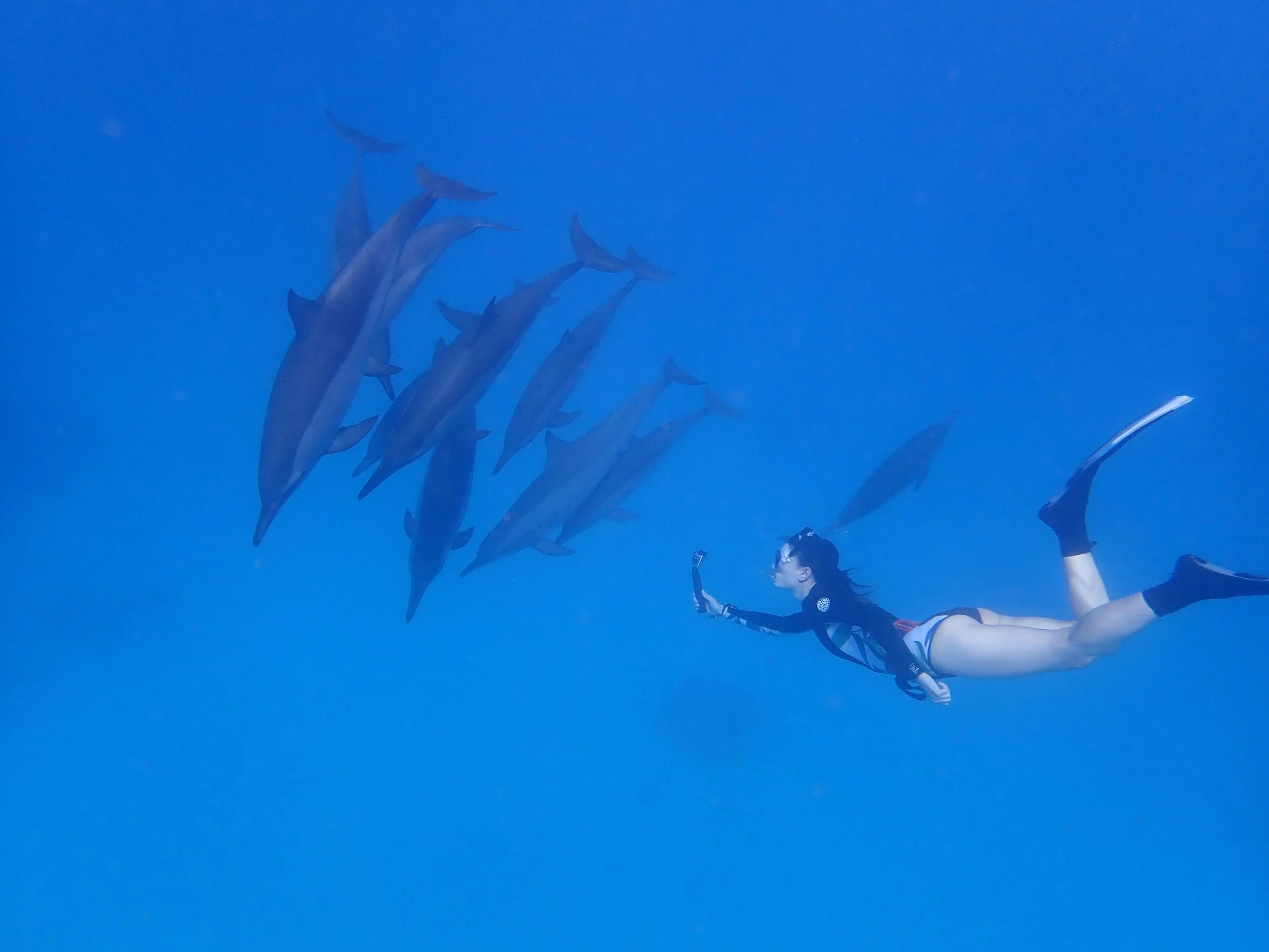 dolphin and julia.JPG