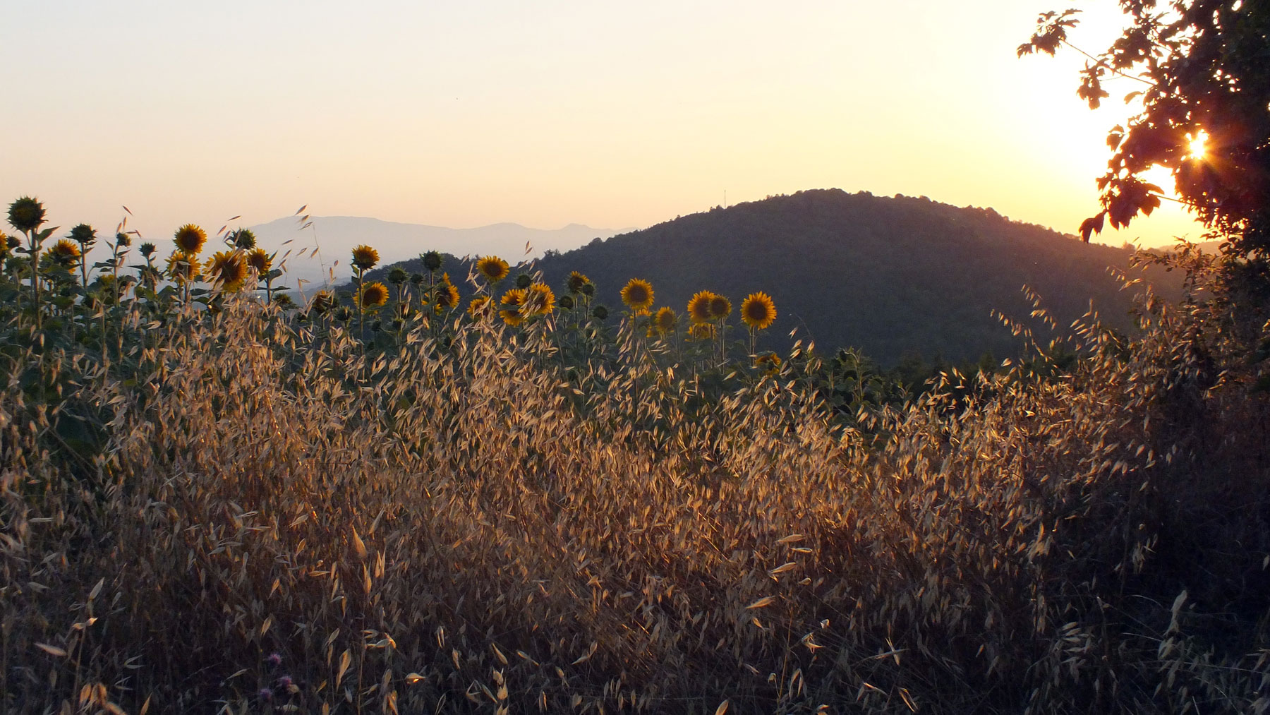 July 2018 MARCHE, Italy
