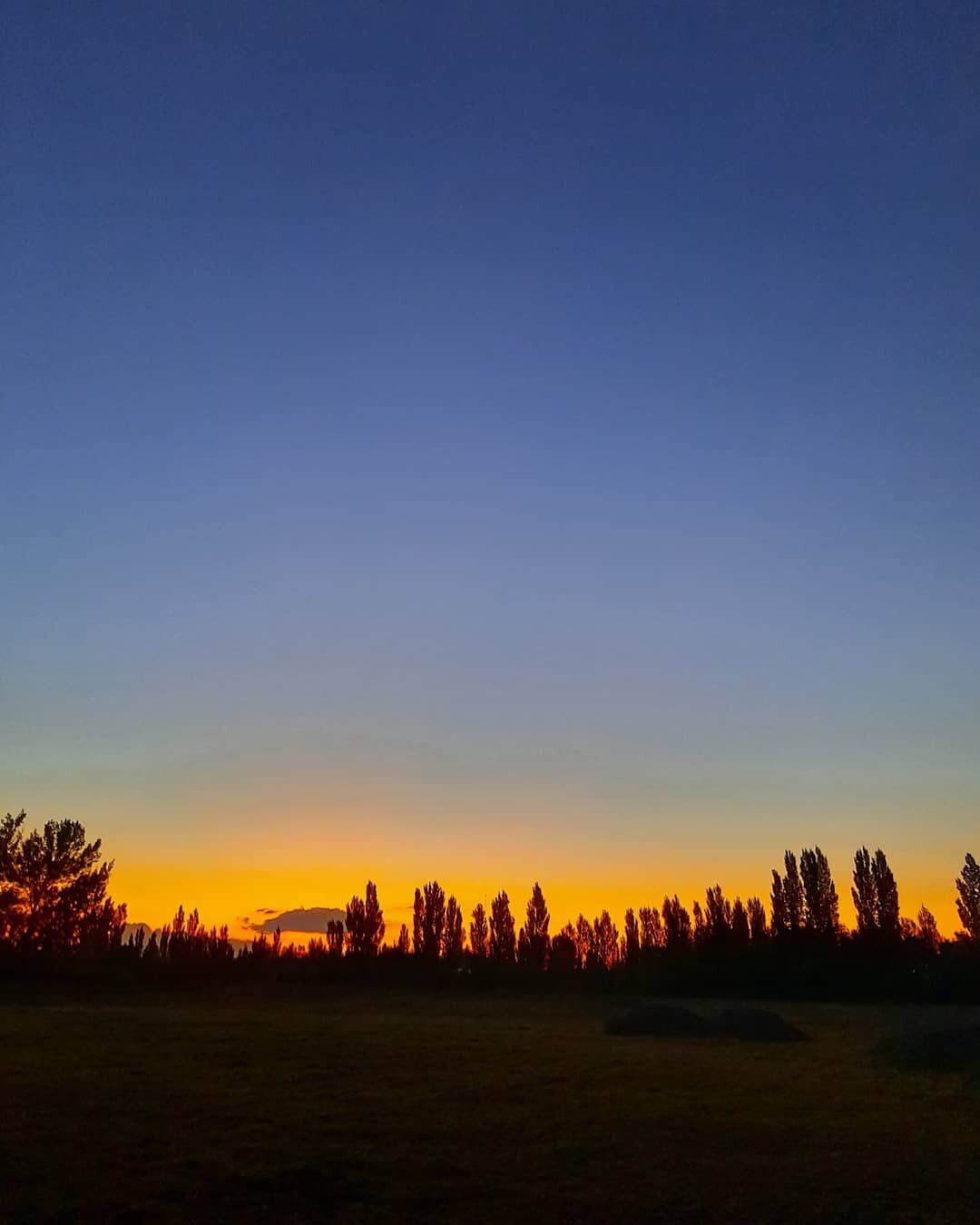 Tardes de finca...aqu&iacute; un vag&oacute;n de tren se transformar&aacute; en un rest&oacute;, con fog&oacute;n para compartir estos atardeceres cuyanos.
.
Un proyecto de @charlybambo @bambooalvear 
.
.
#finca #generalalvear #mendoza #atardecer #su