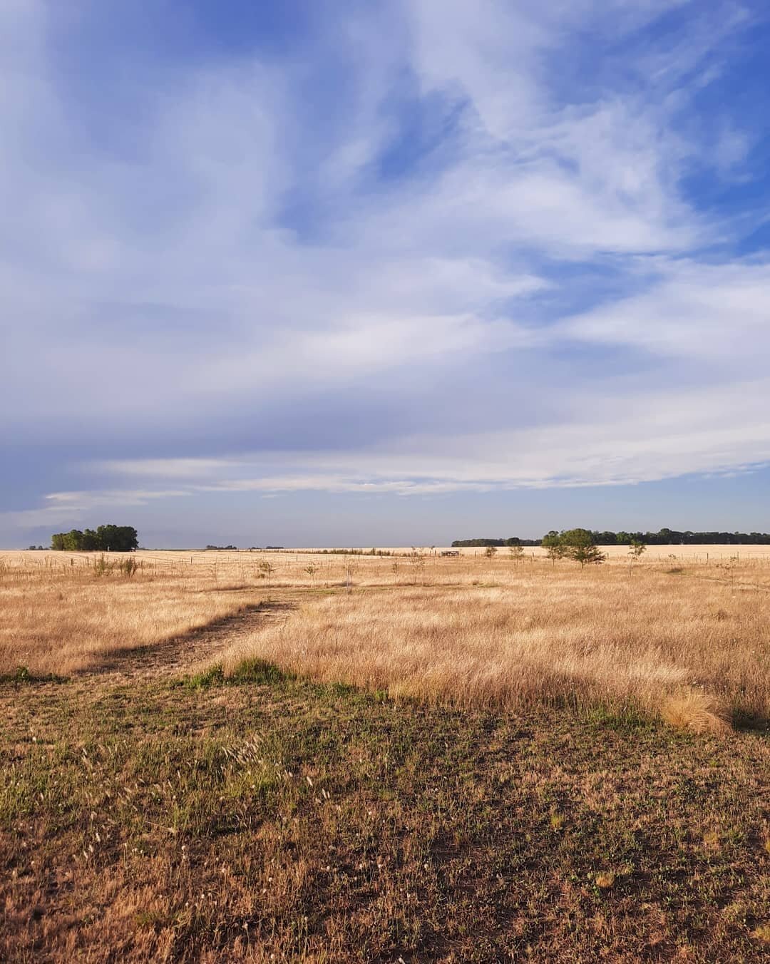 Los viajes no son el destino, son todo lo que vivimos desde el momento que salimos de casa...
Asi comenzamos nuestras vacaciones, familia y campo en la provincia de Buenos Aires. Atardecer de verano y la tierra que pide agua.
.
Seguimos nuestro recor