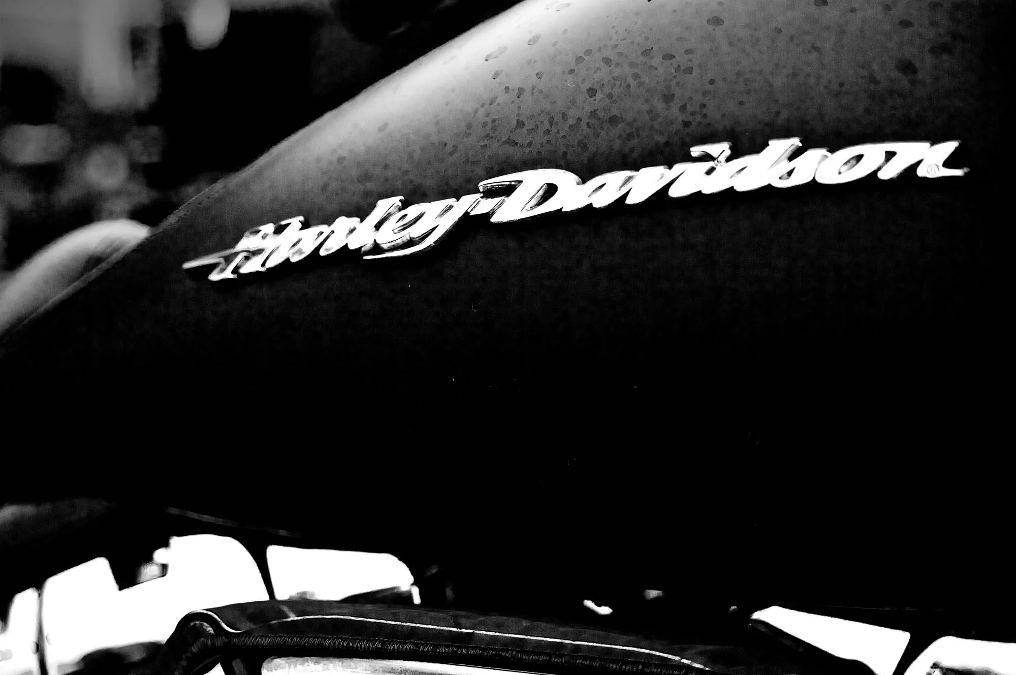 HARLEY-3F1.jpg