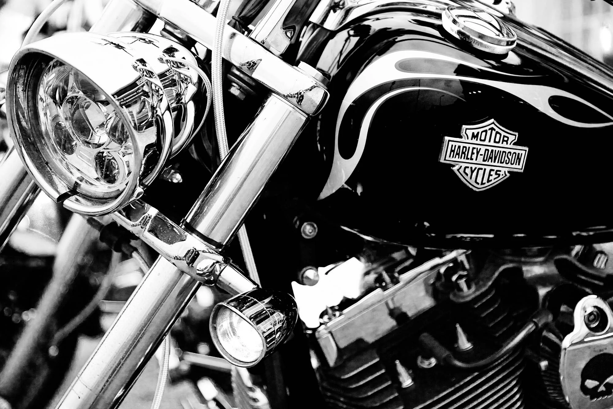 HARLEY-4F1.jpg