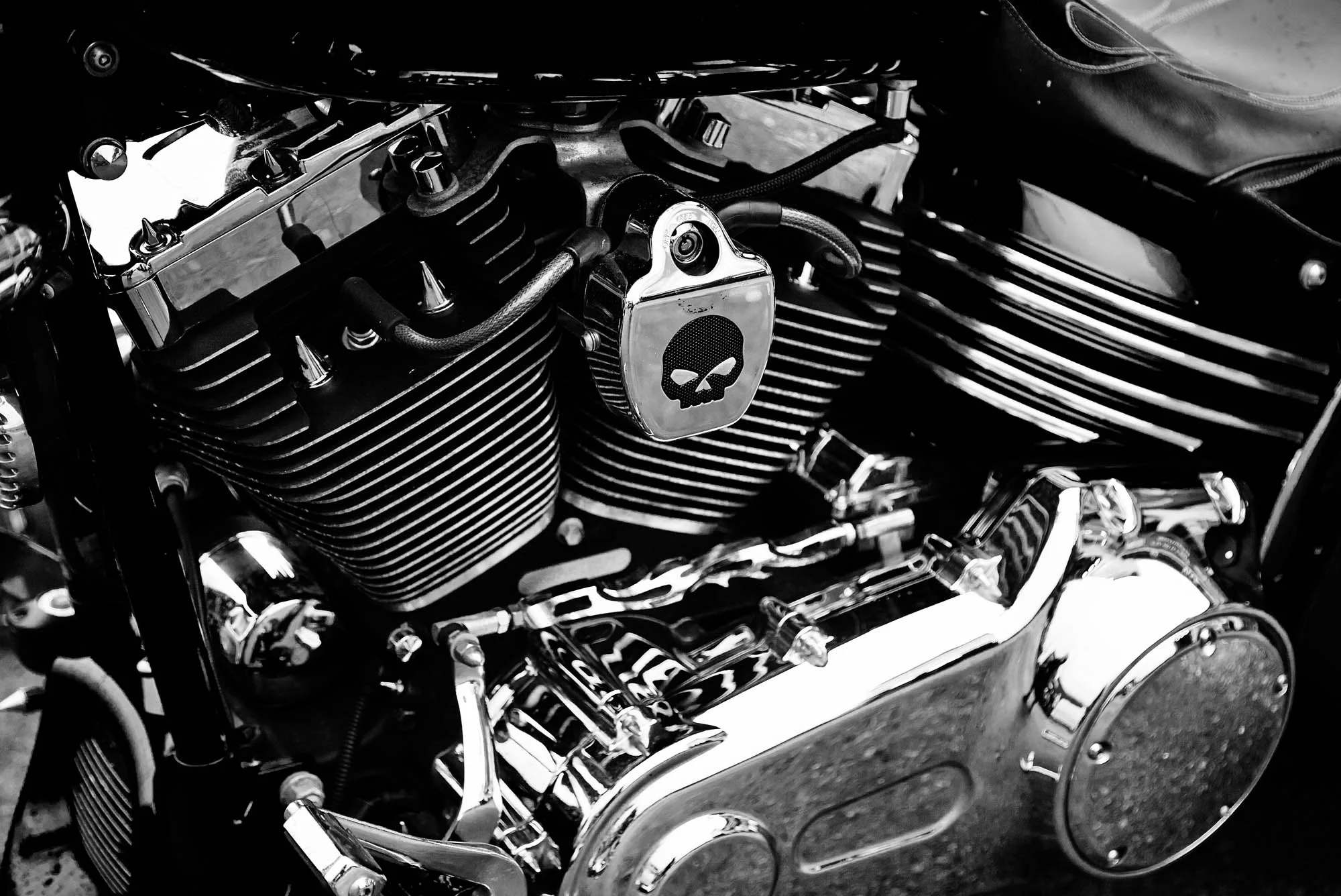 HARLEY-5F1.jpg