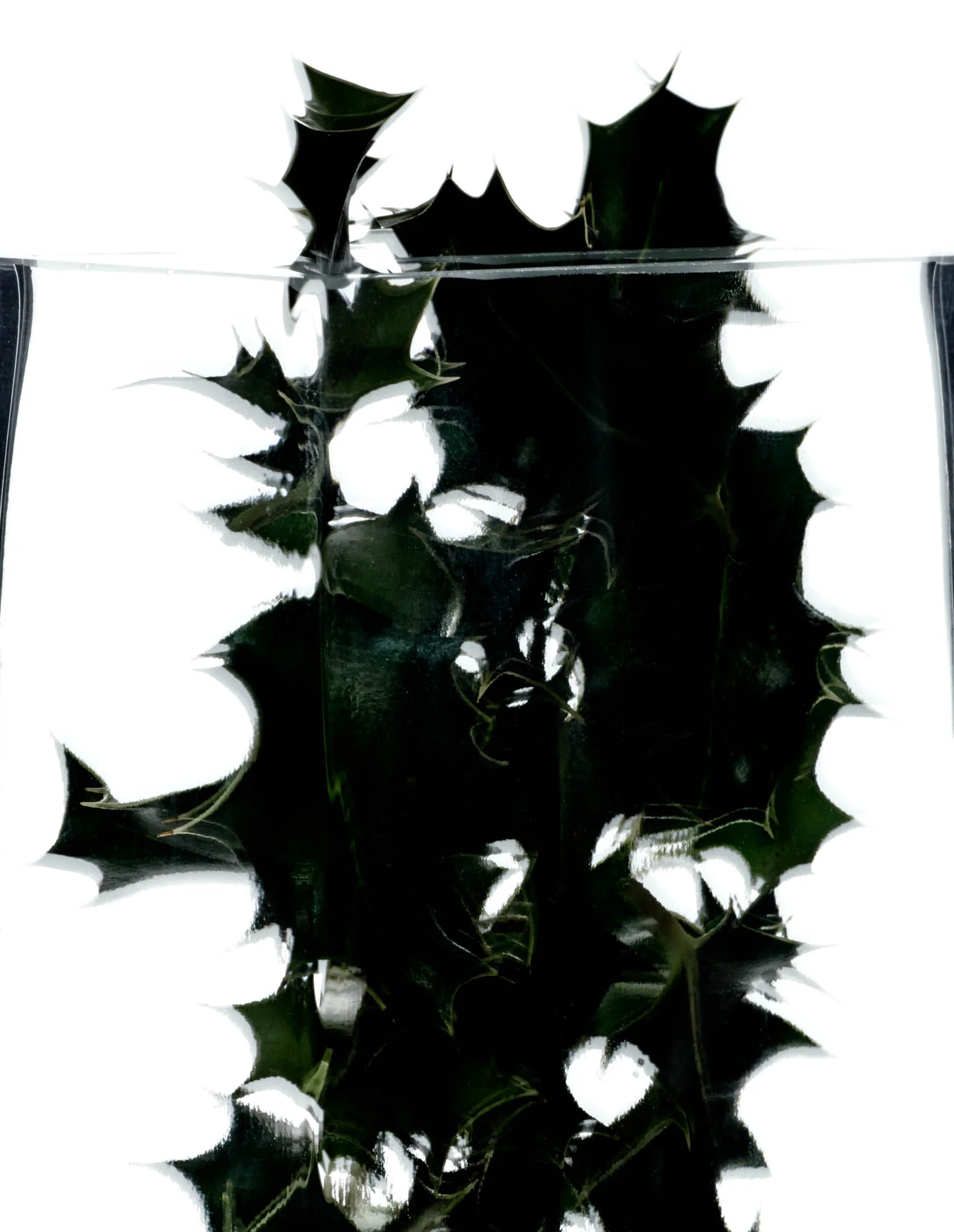 SHAKEYHOLLY-1f1BW.jpg