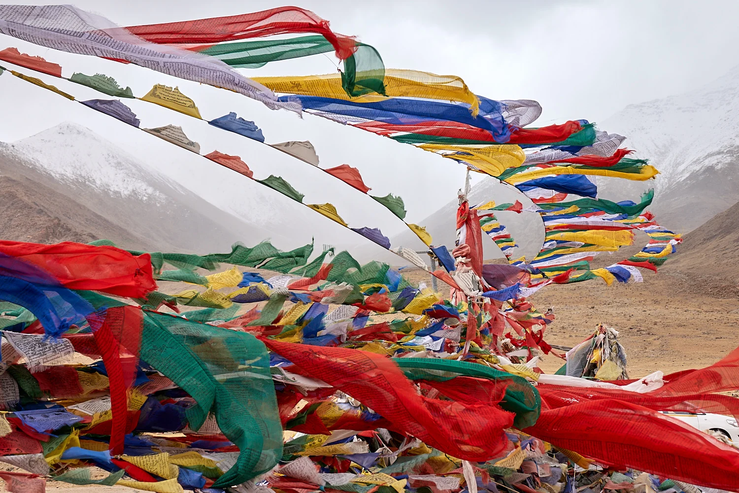 2017-LFT-TANGLANGLA-1261.jpg