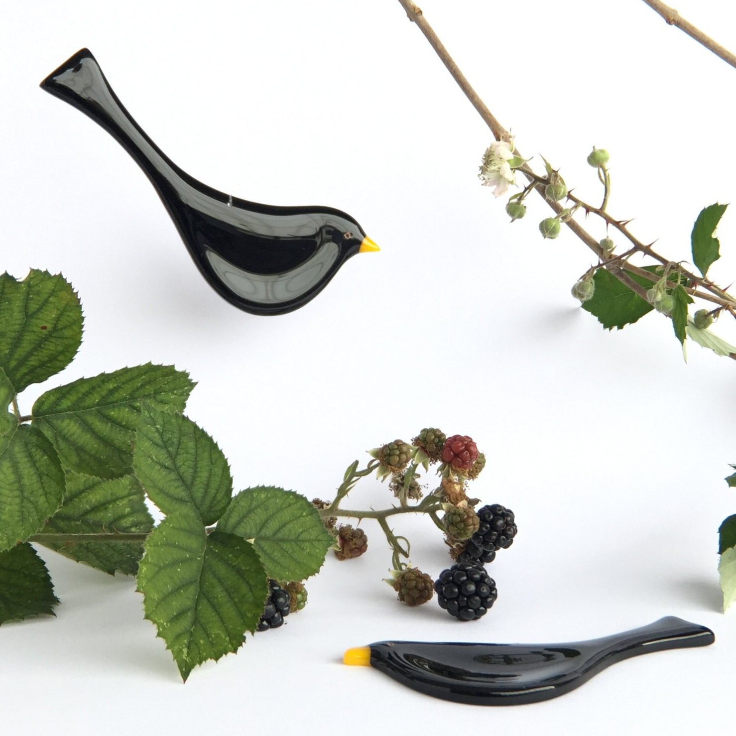 Blackbird - Robyn Coetzee Glass Designs