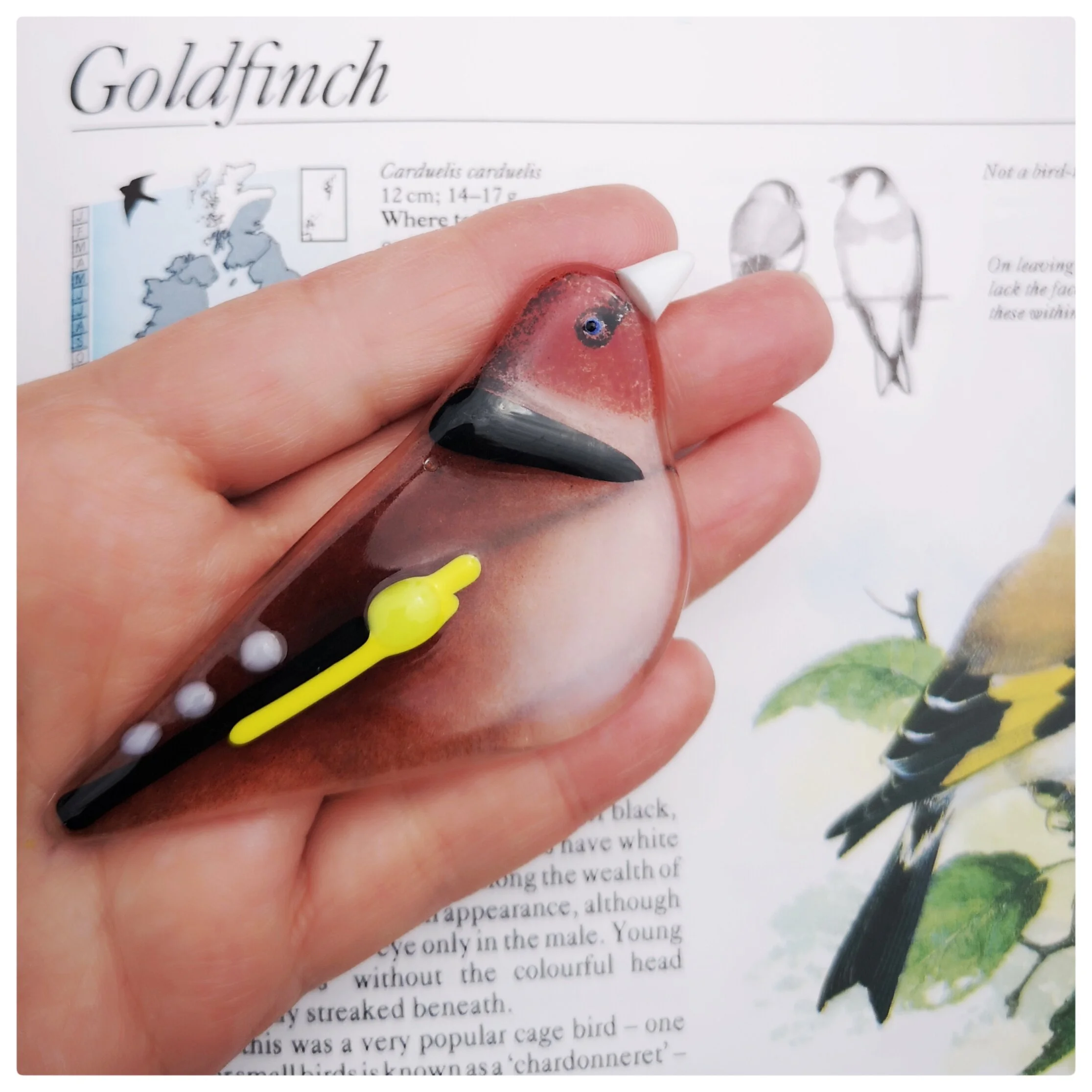 Fused Glass British Garden Birds — Robyn Coetzee Glass Designs, fused ...