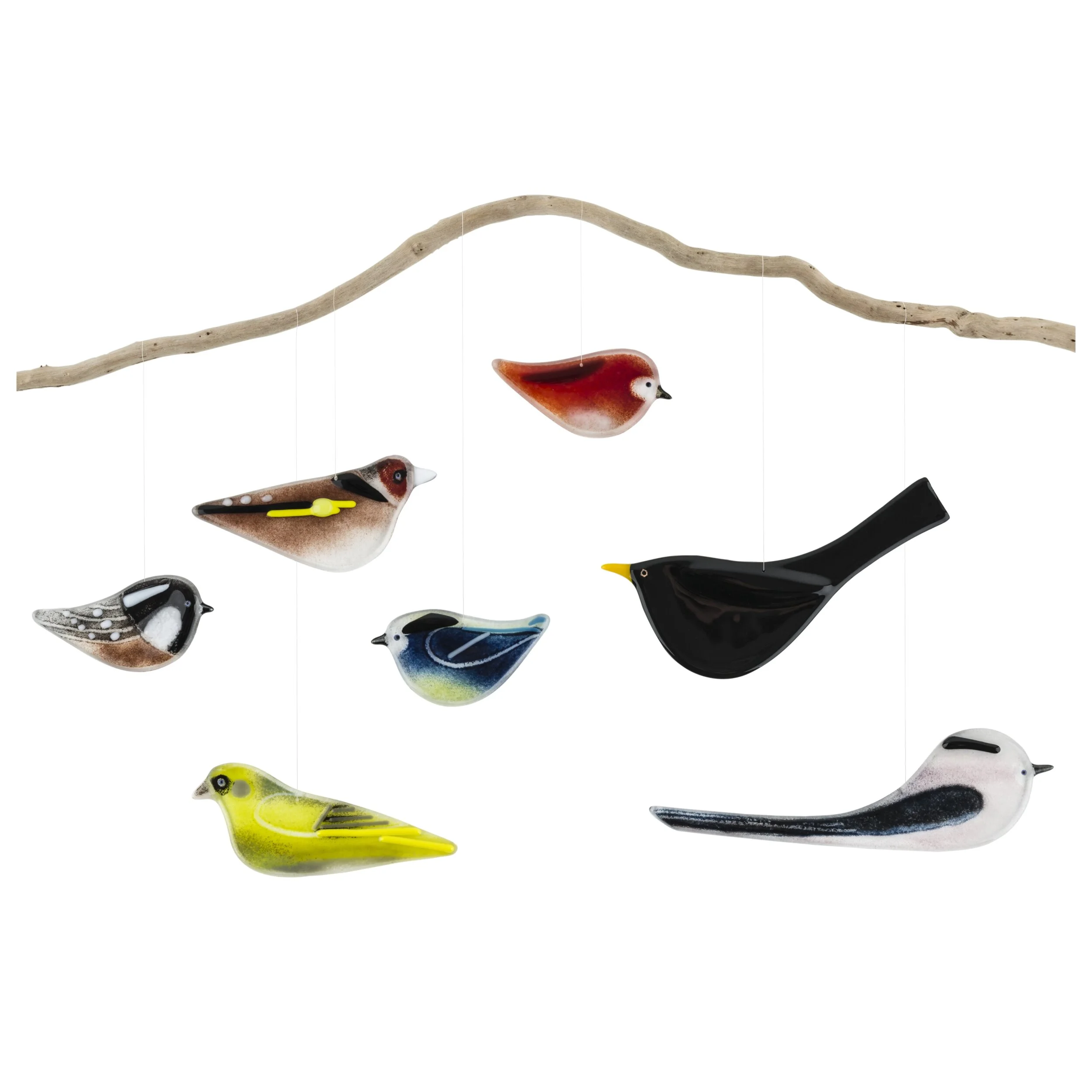 Robyn Coetzee Glass Designs 22nd Seconds.jpeg