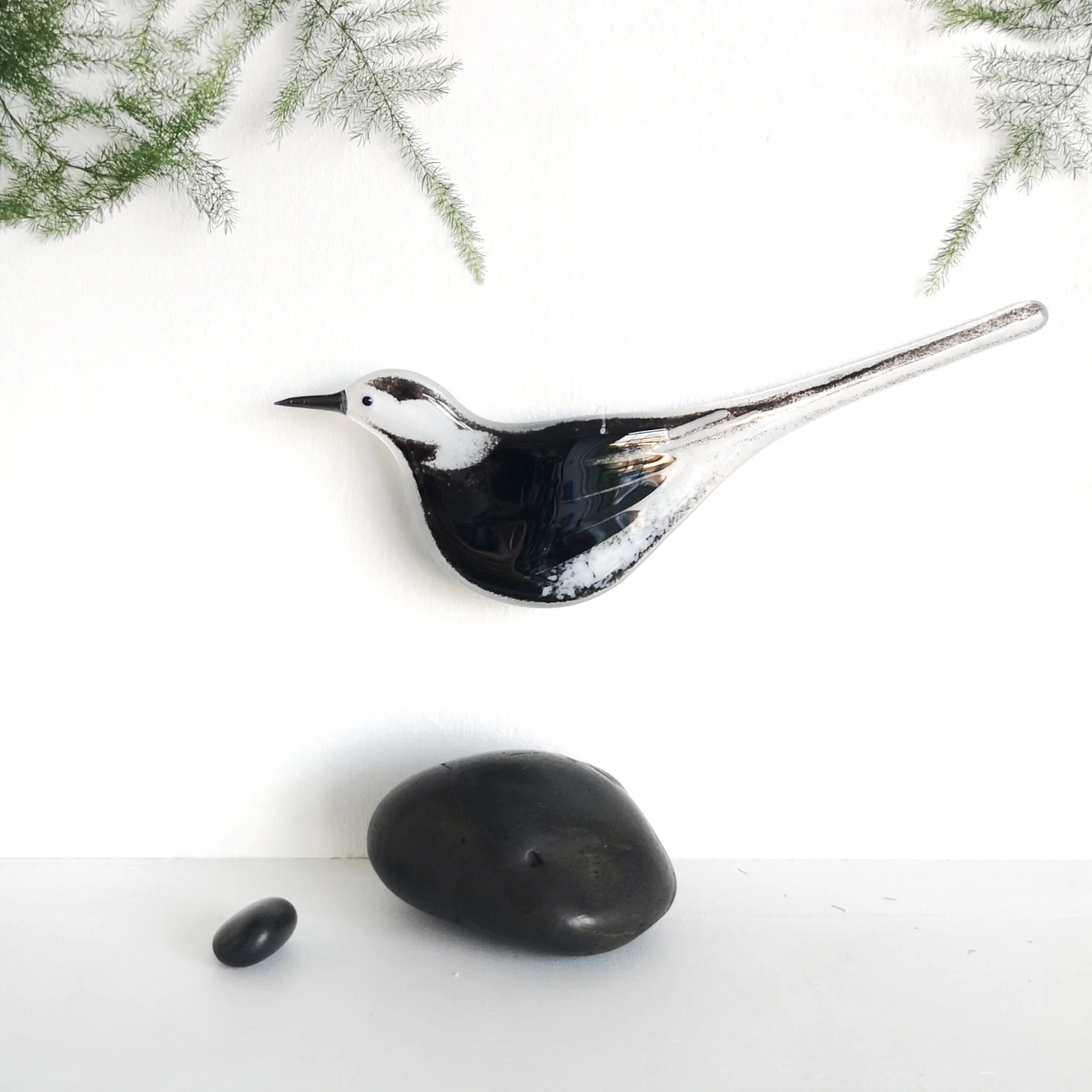 Pied Wagtail