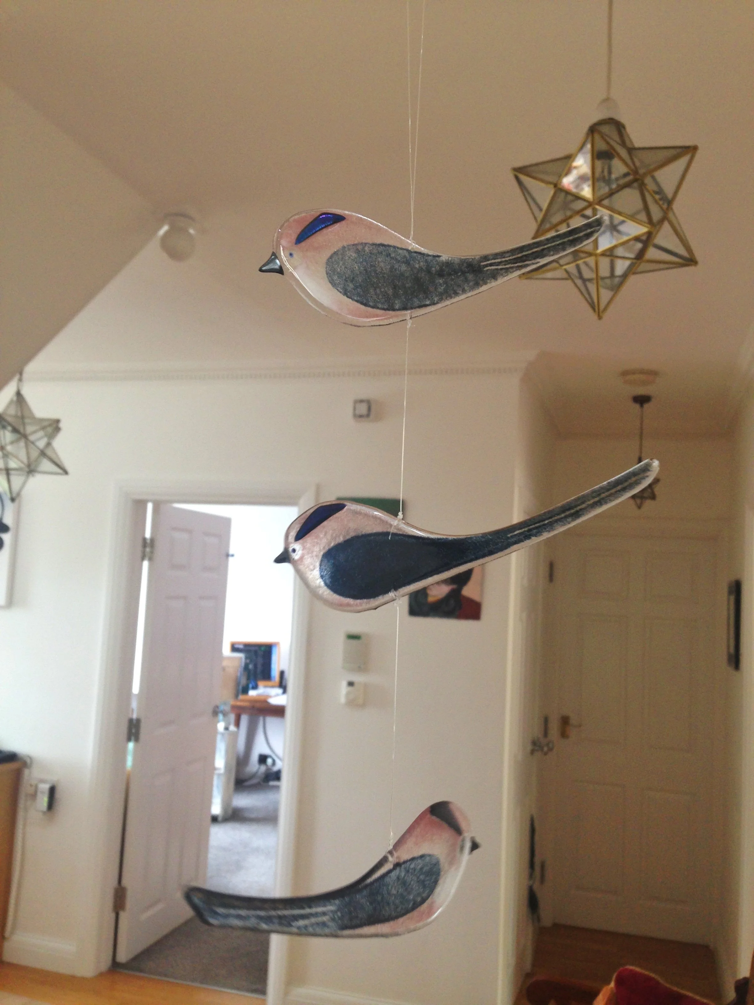 string of longtailed tits.jpeg