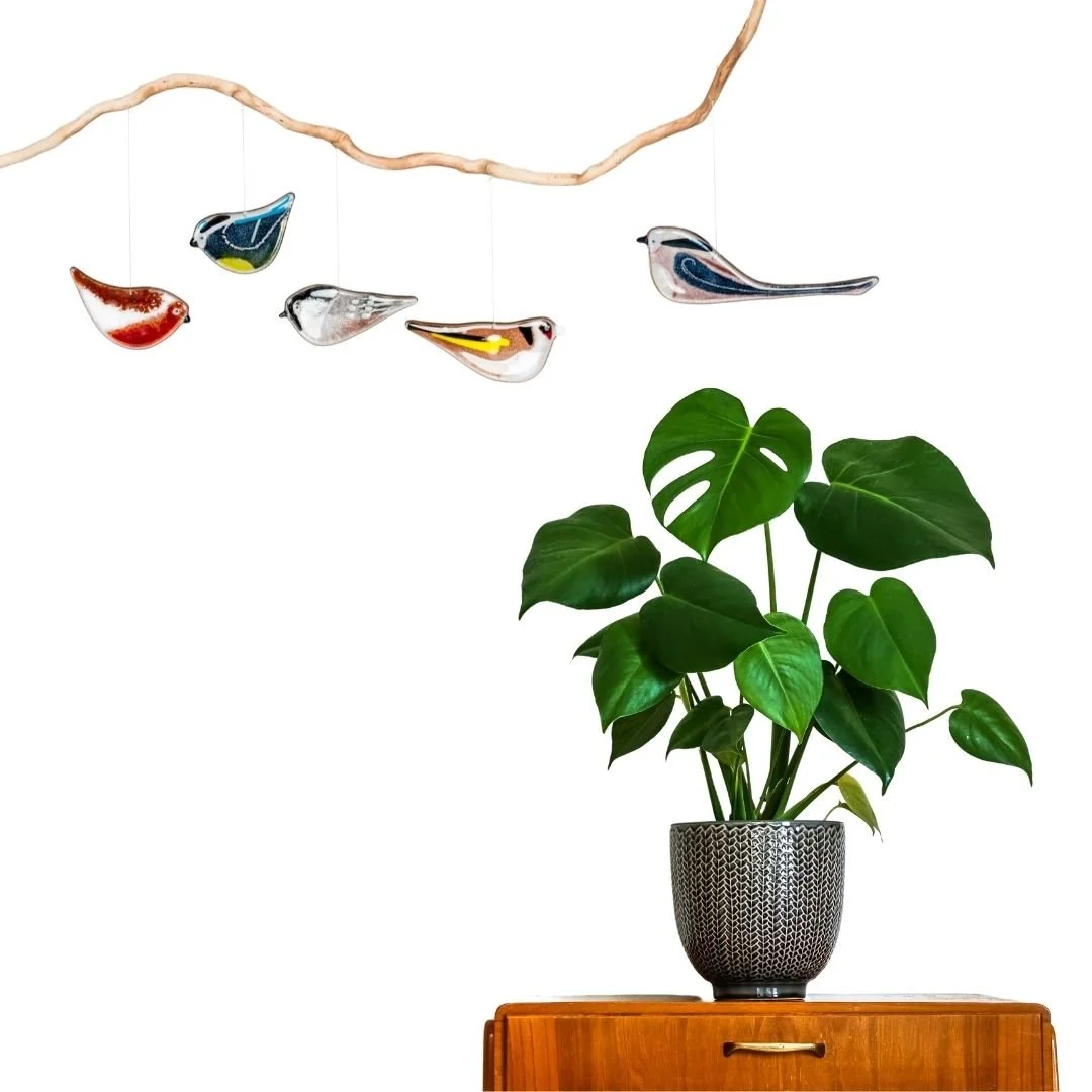 british garden bird set.jpg