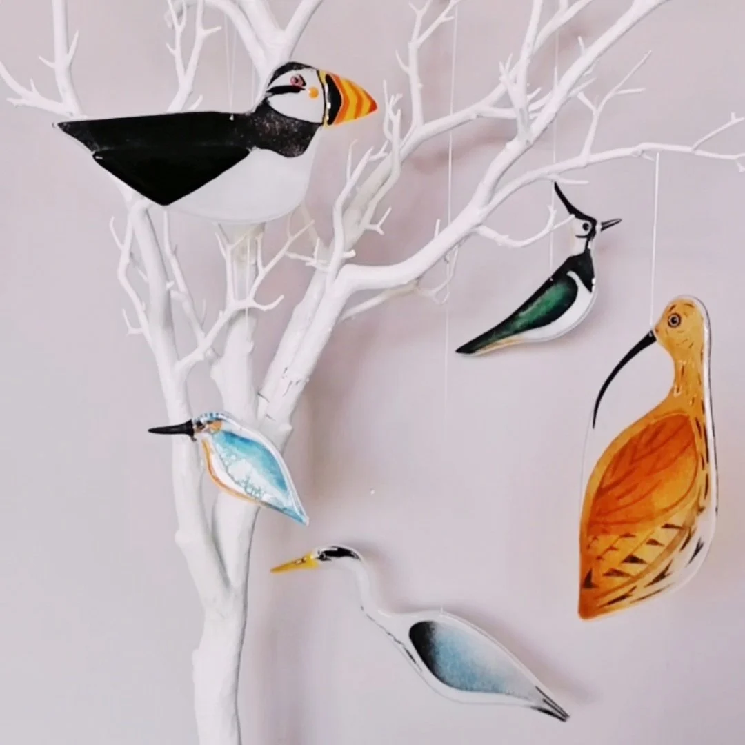 A flock of water birds.