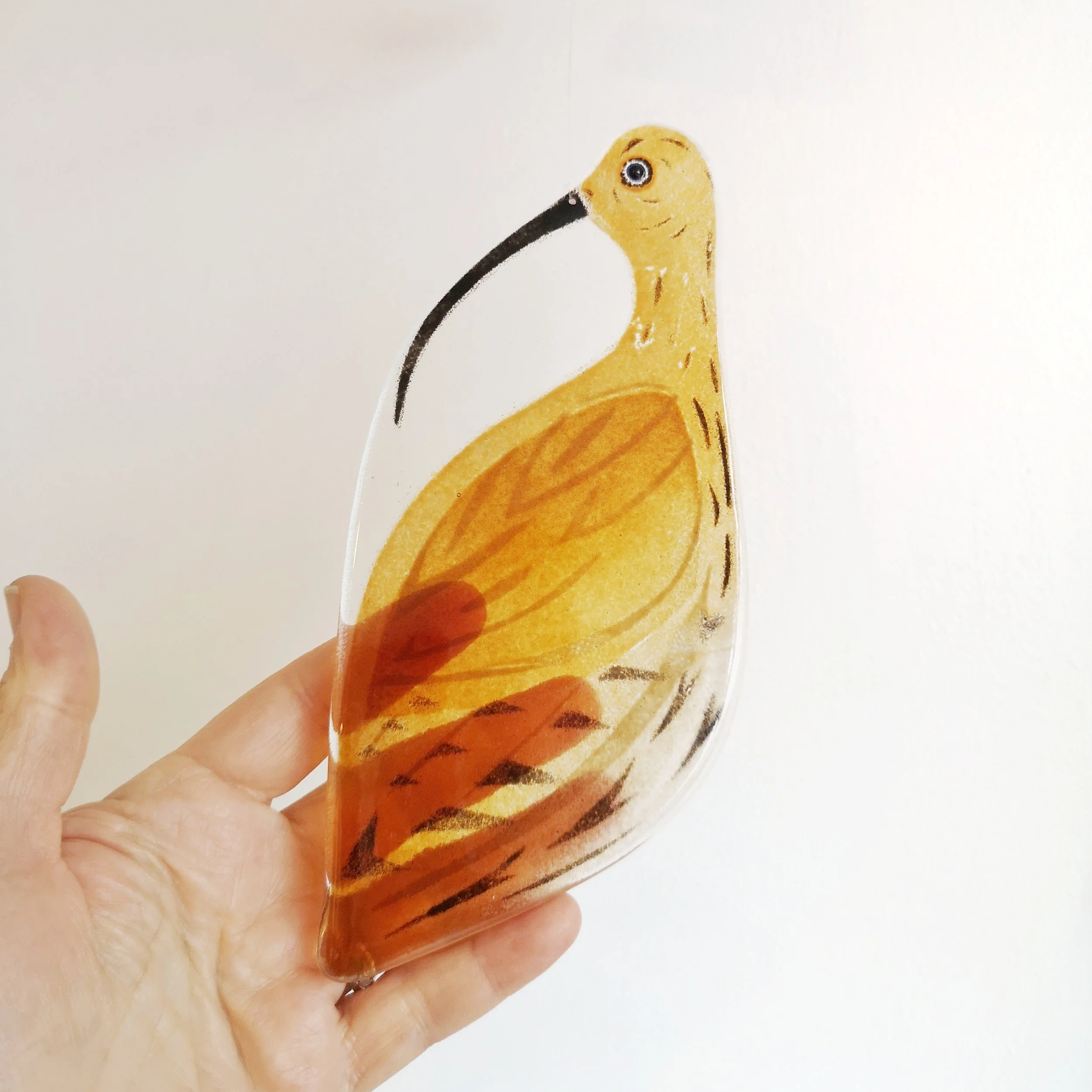 Curlew