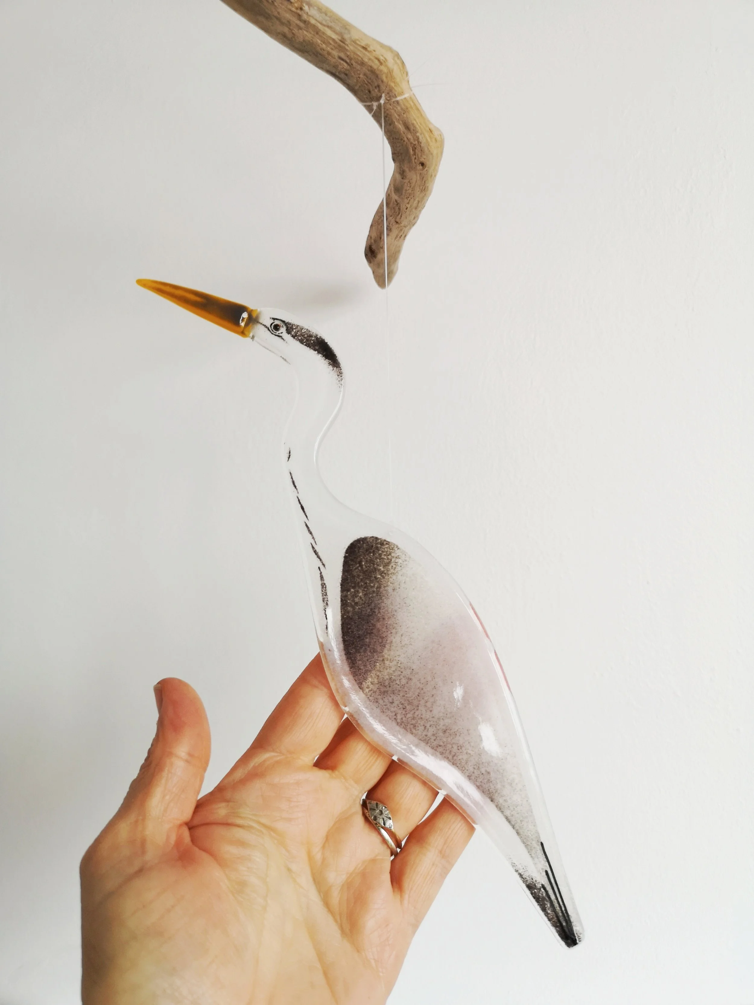 Grey Heron