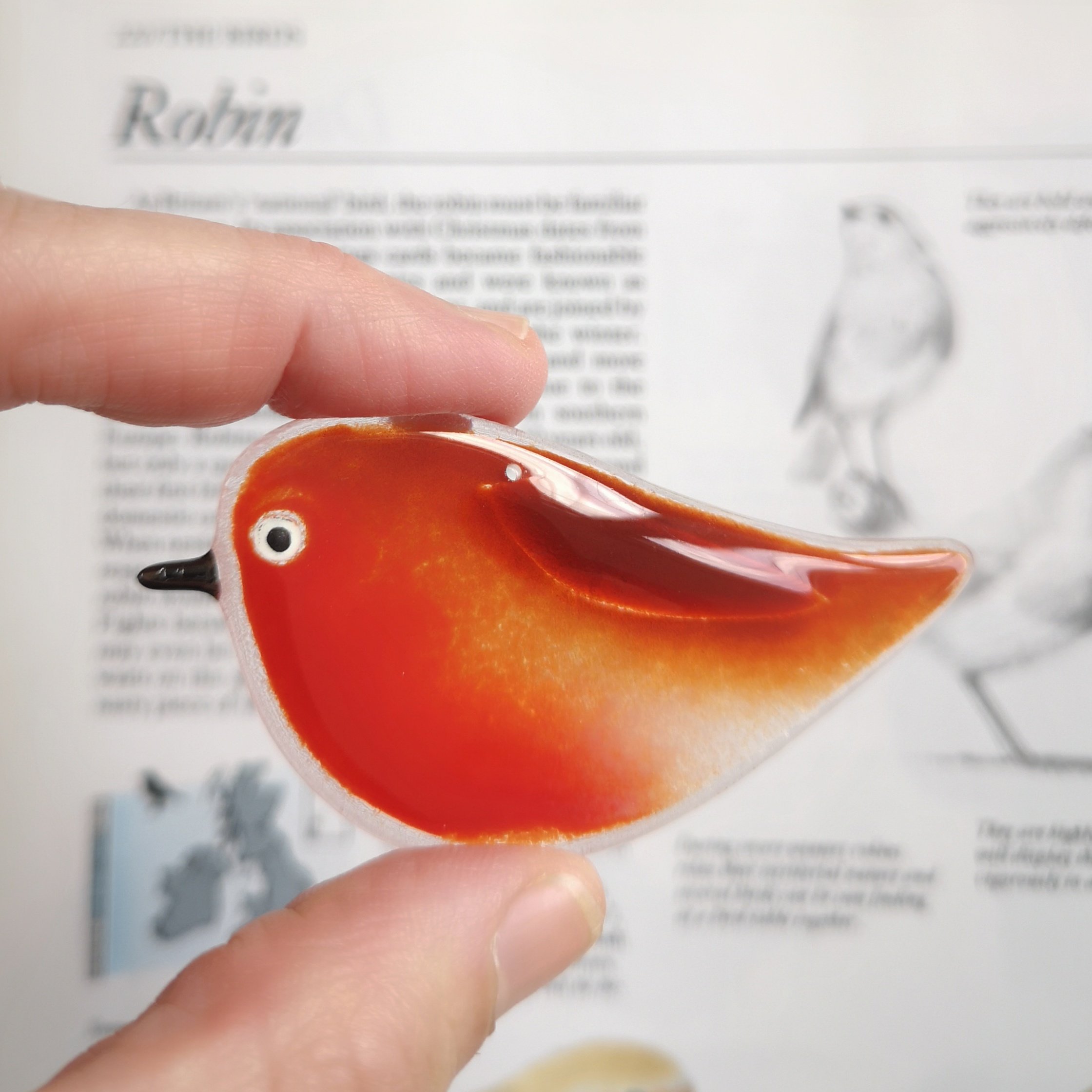 Robin - Best Seller
