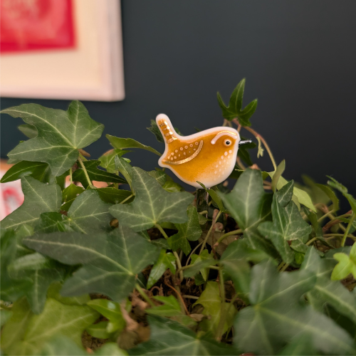 Wren houseplant decoration