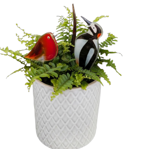 Untitled design_20260608_112152_0000.png
