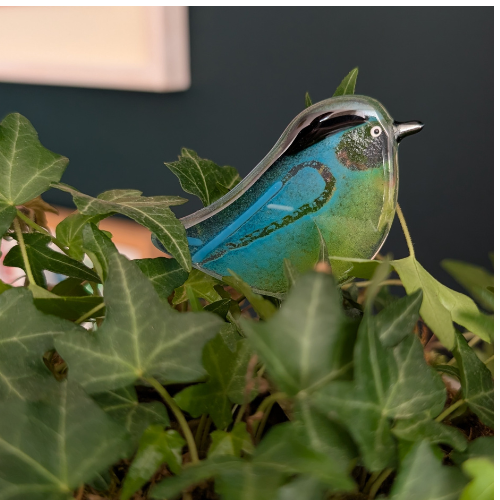 Light blue blue-tit plant friend