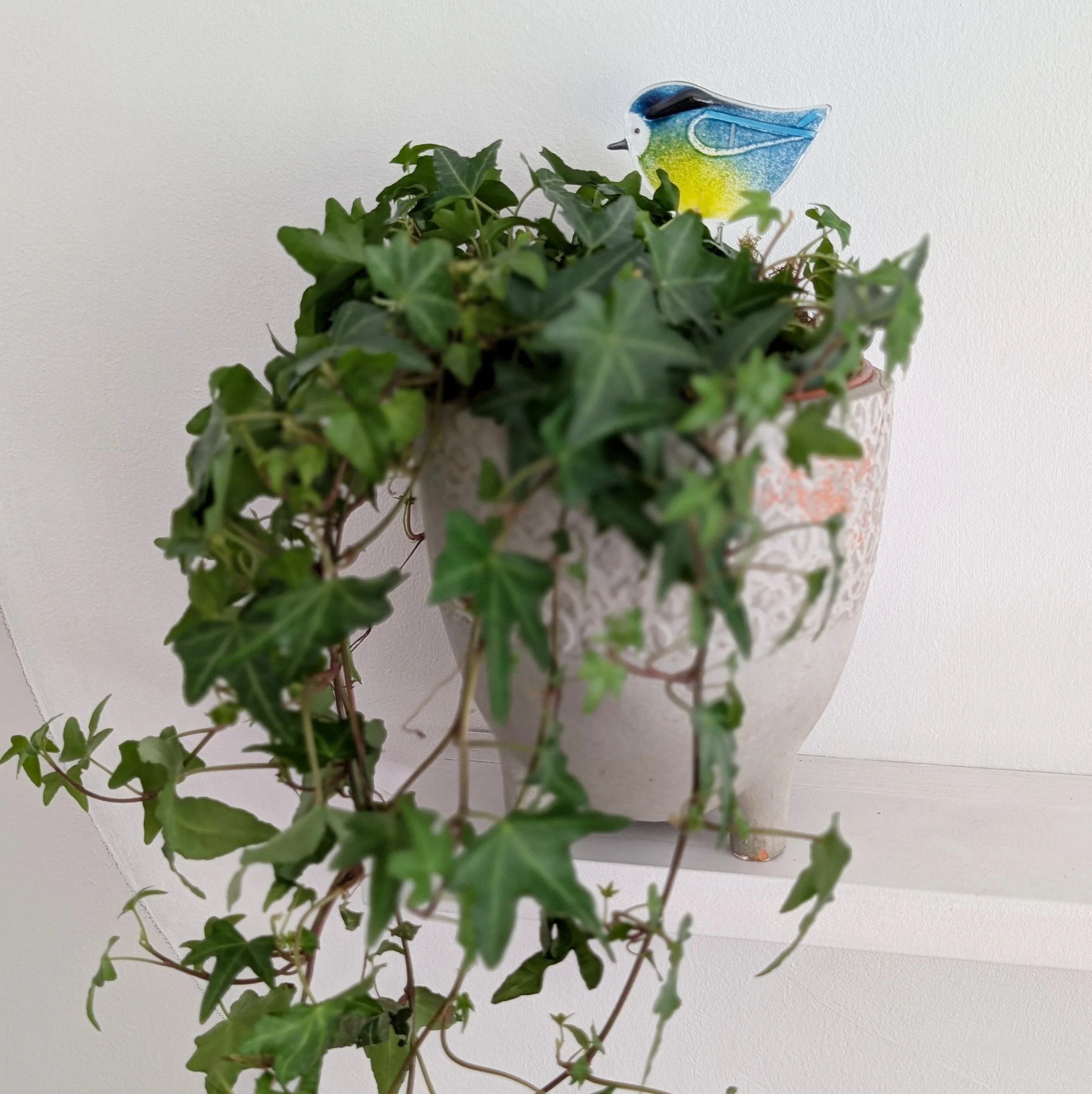 Blue-tit plant decoration
