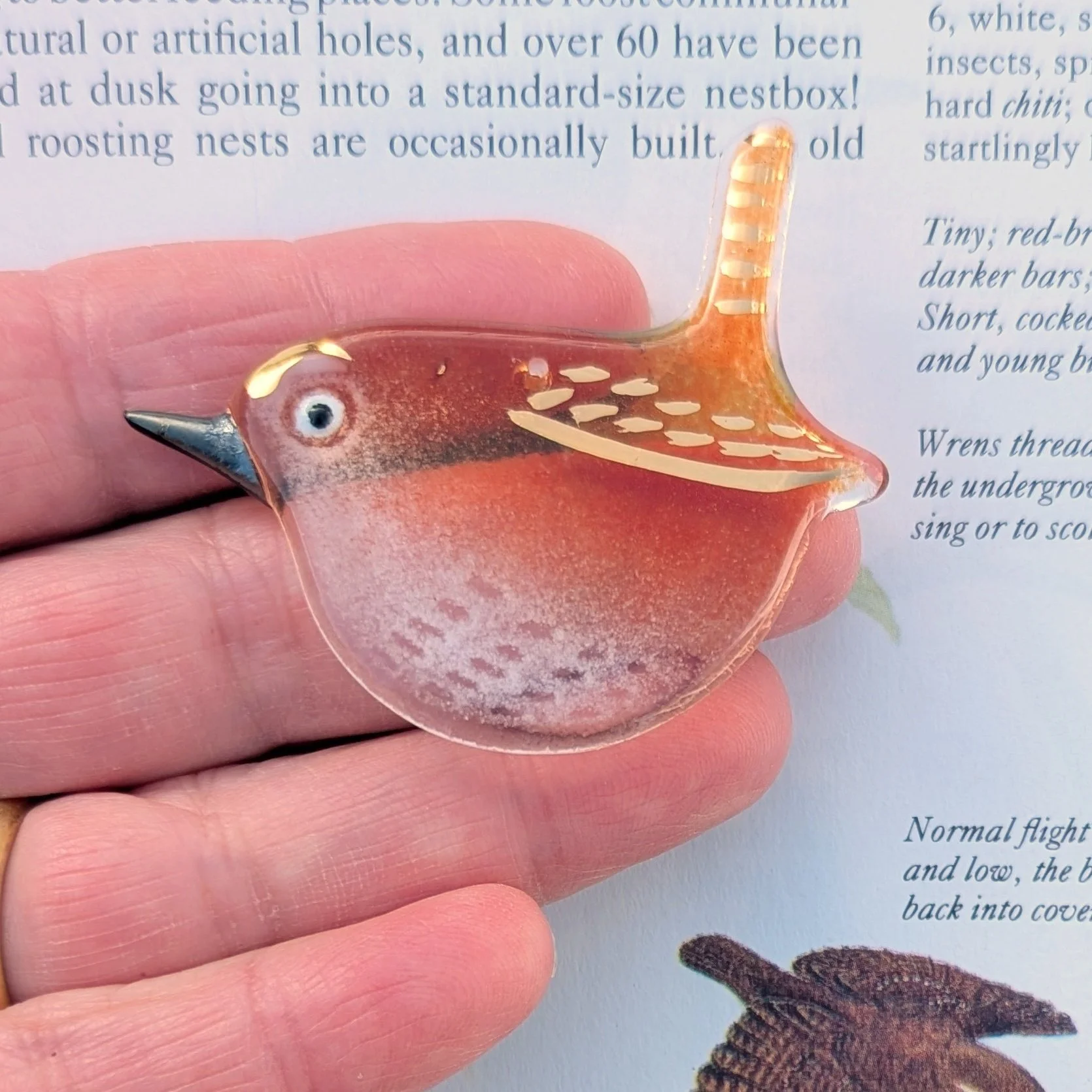 Jenny Wren - with gold lustre, it's BACK