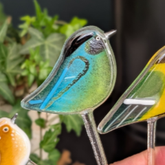 handful-glass-bird-plant-friends.png