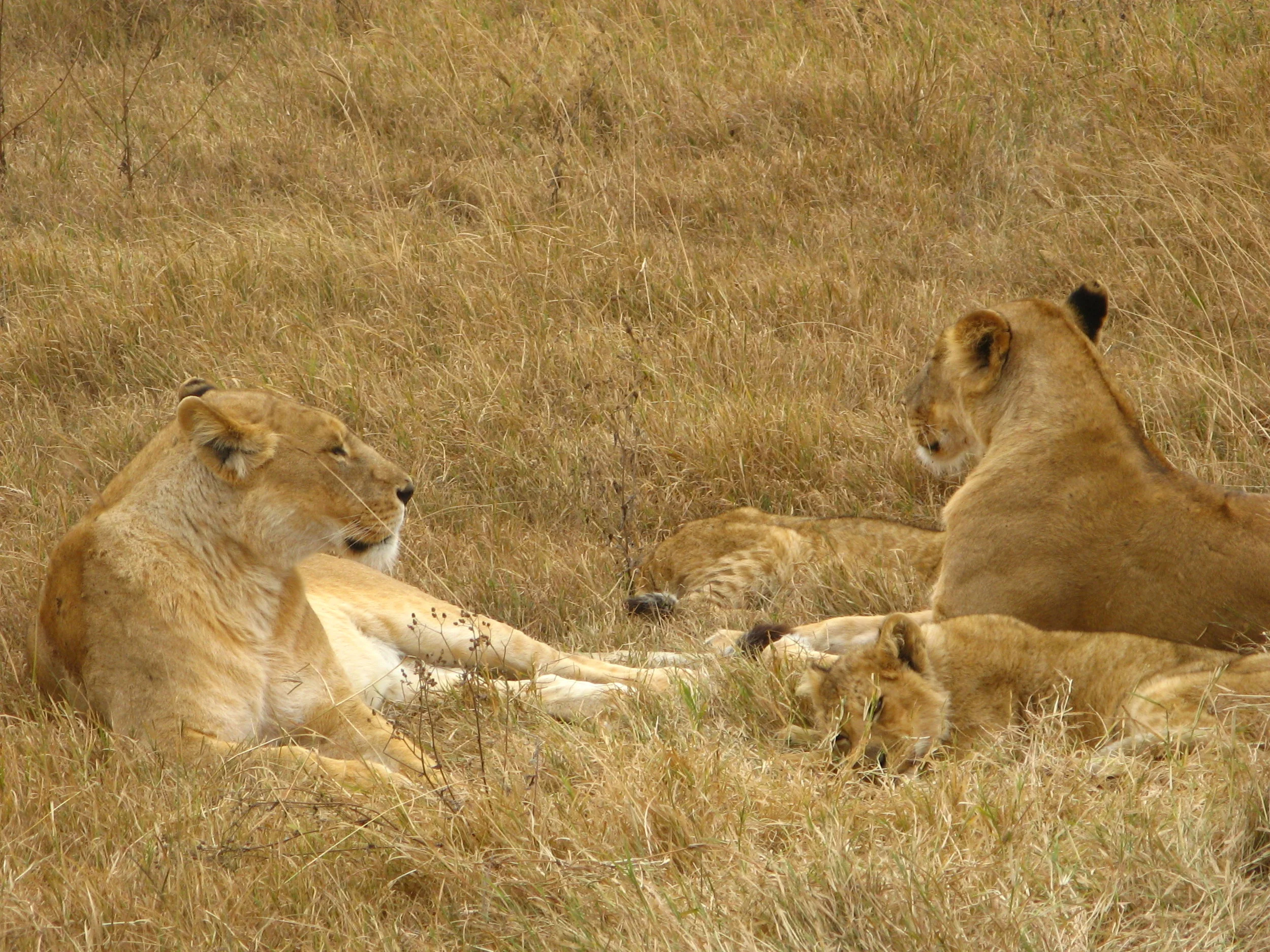 Learning to accept the value of a person - even when I don't like them