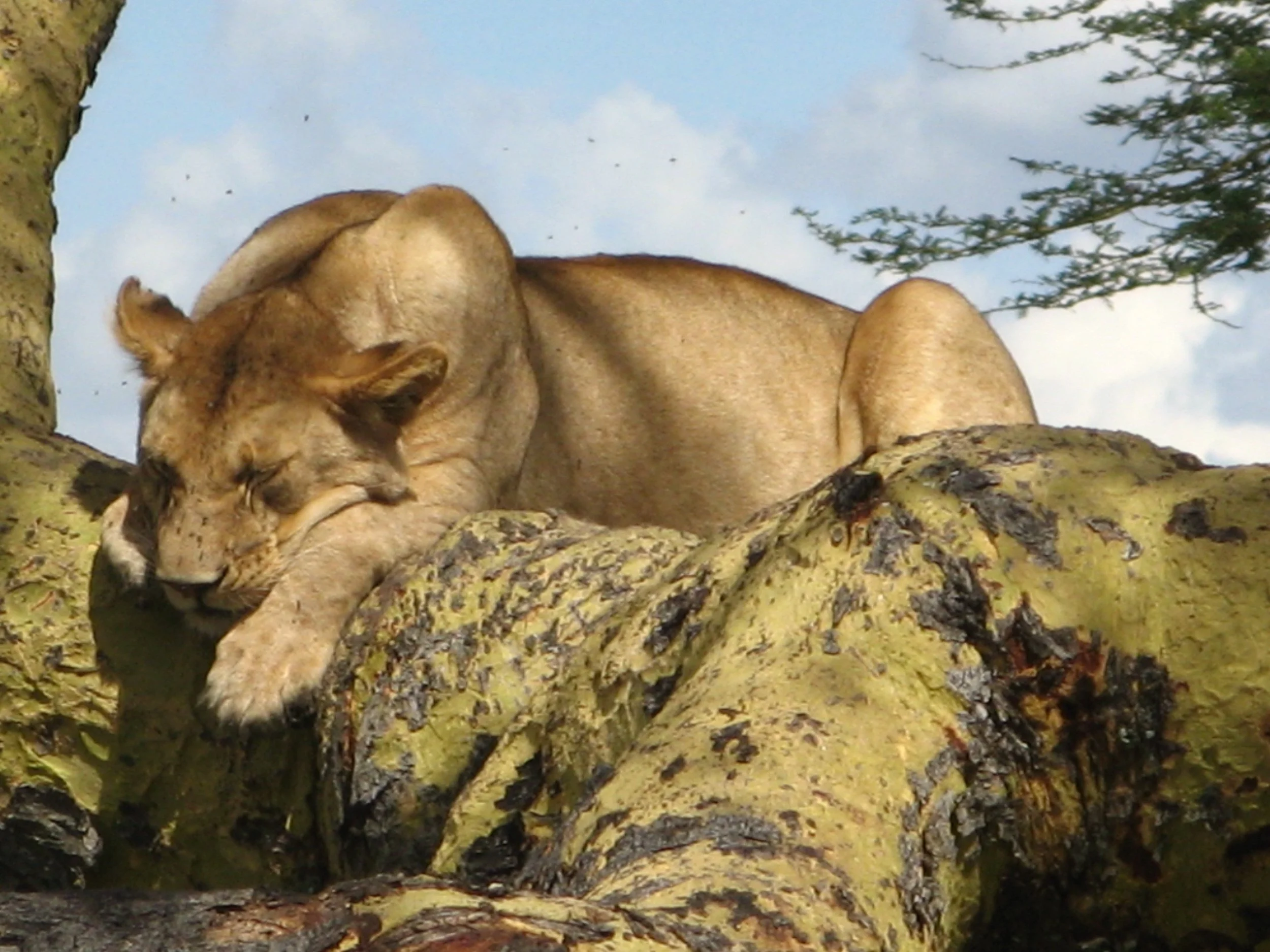 Things fall apart (and so do people!)