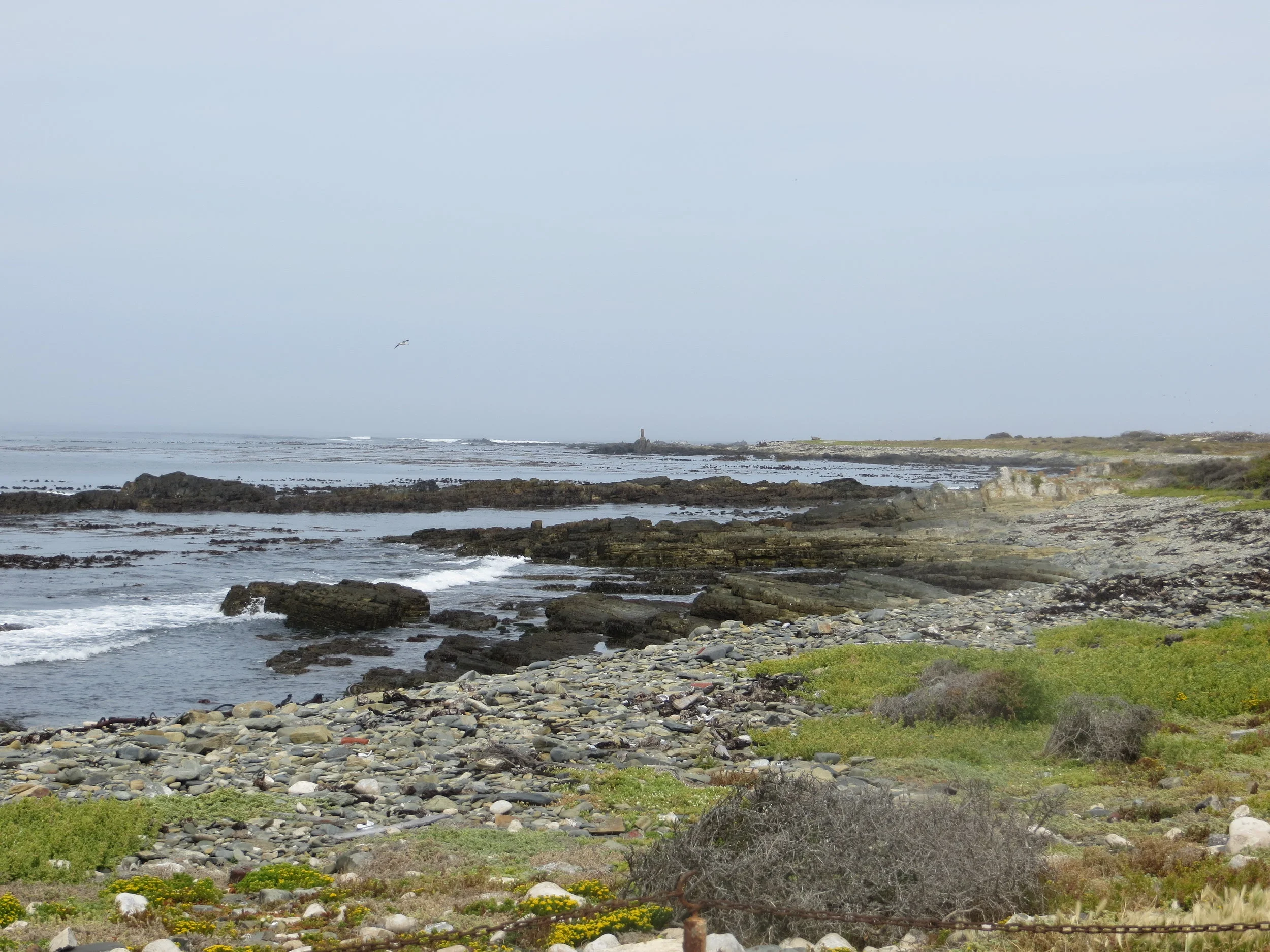 How I found my voice