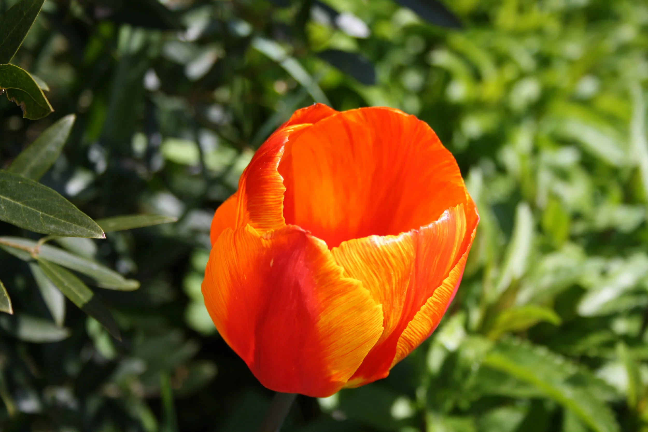 Are you holding your breath? Remember to breathe.