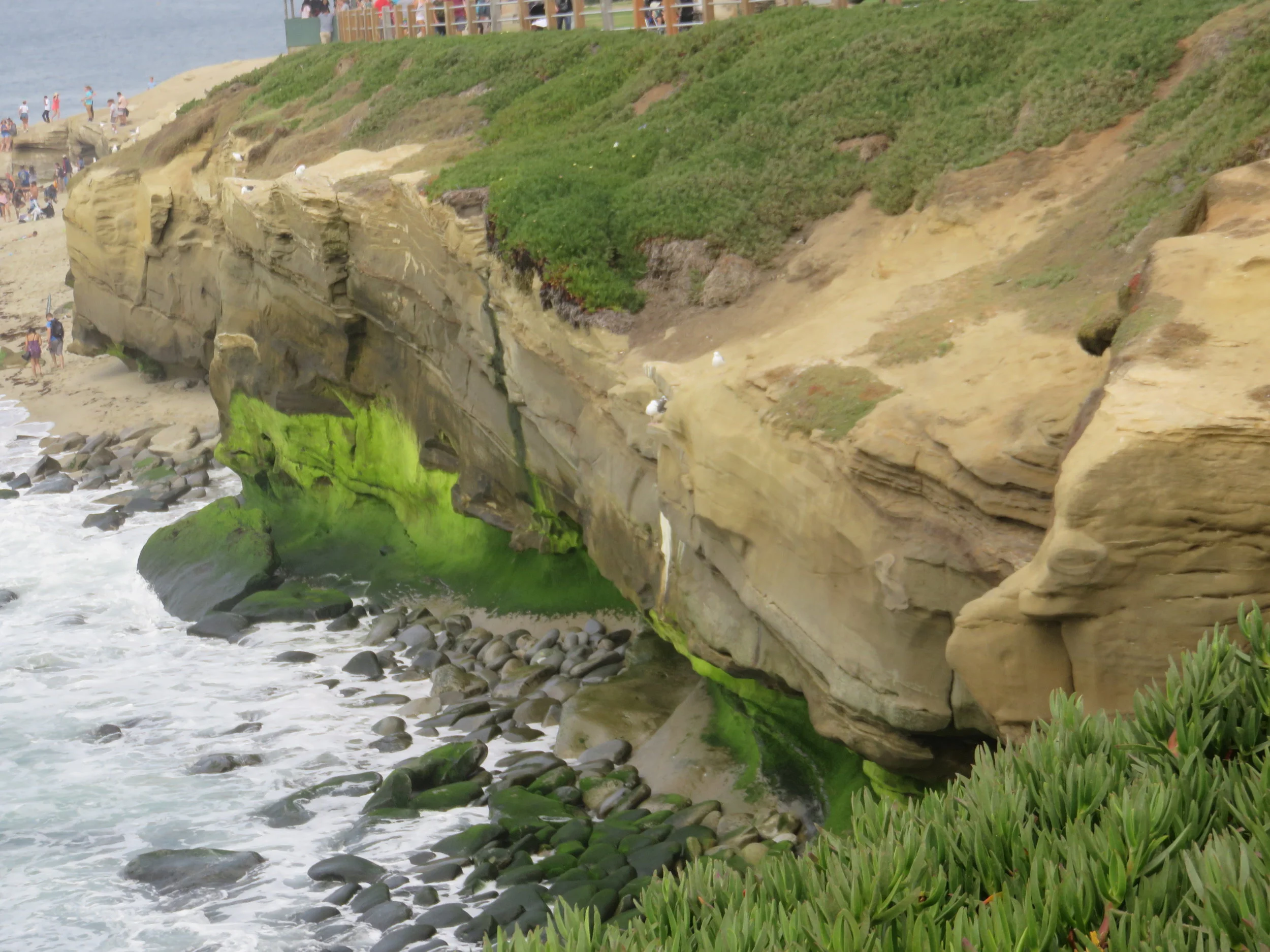 My first time in San Diego