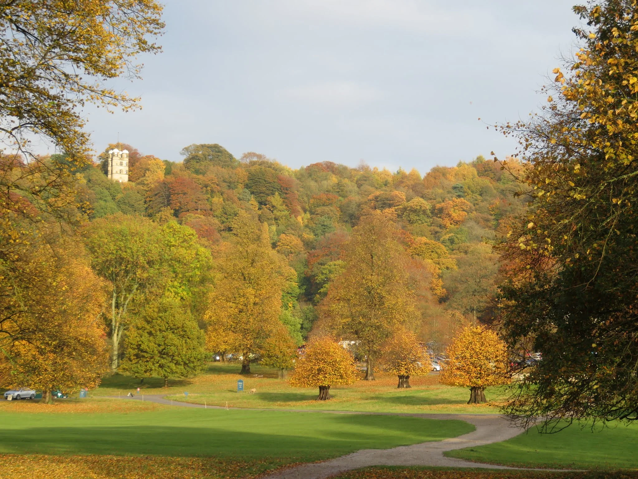Strong Women Who Have Everything... Where are they? Who are they?