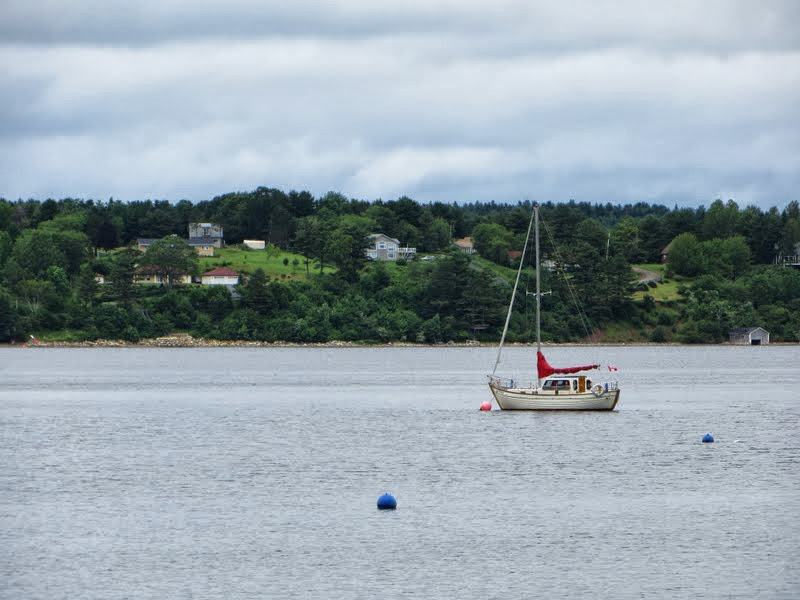 Introduction to my October Blog Challenge