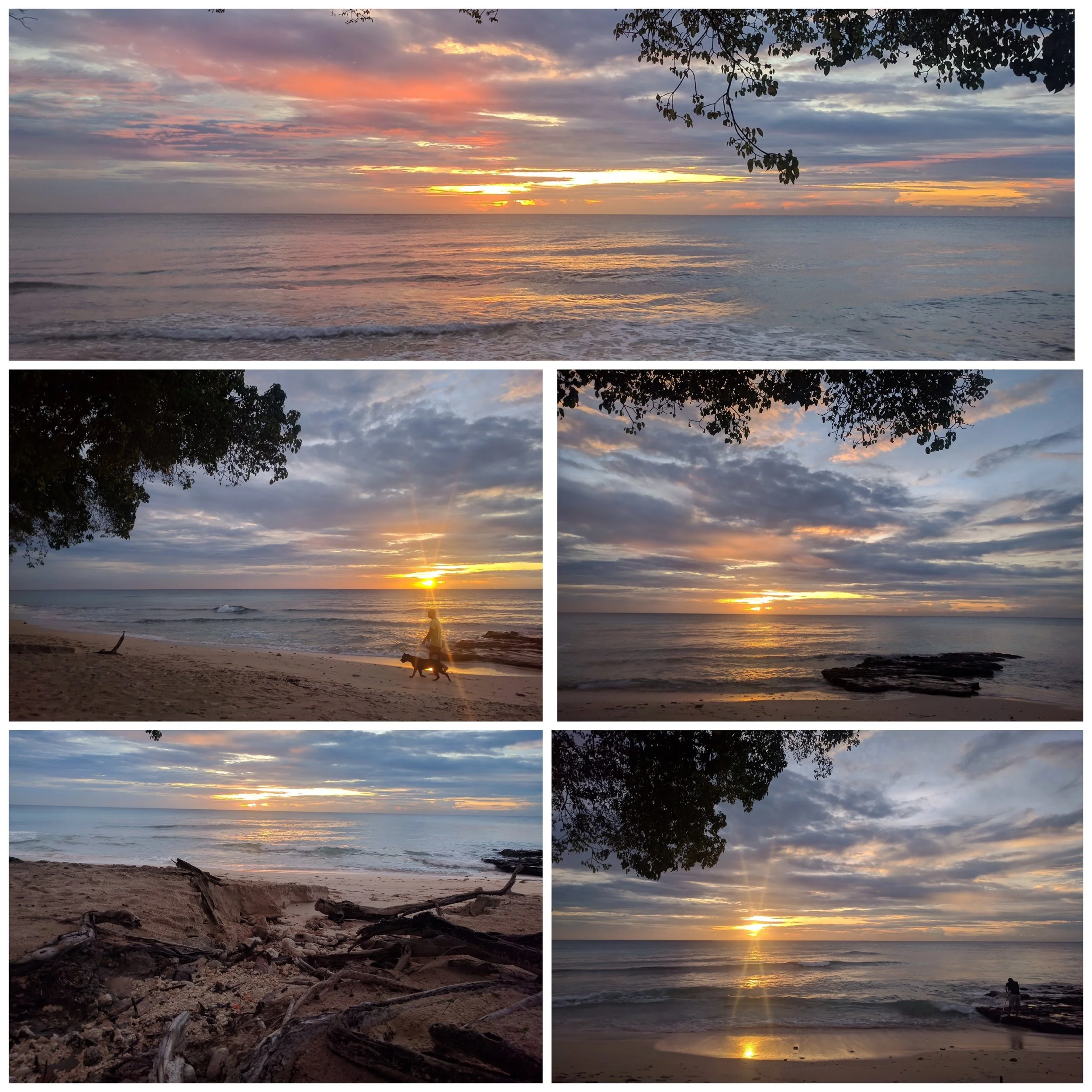 Friday Fiction 2 - The greatest show on earth