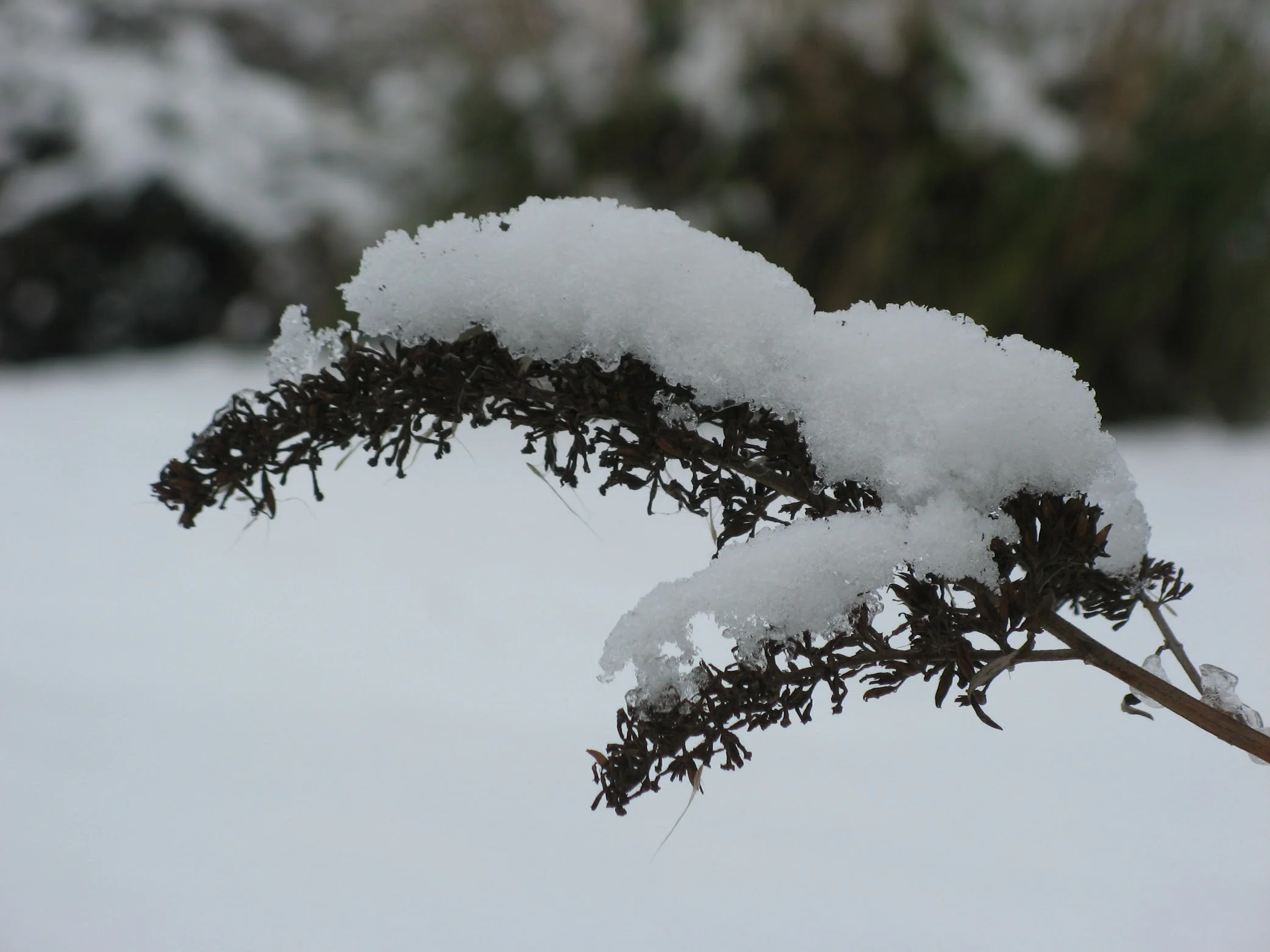 New year plans with a fractured ankle