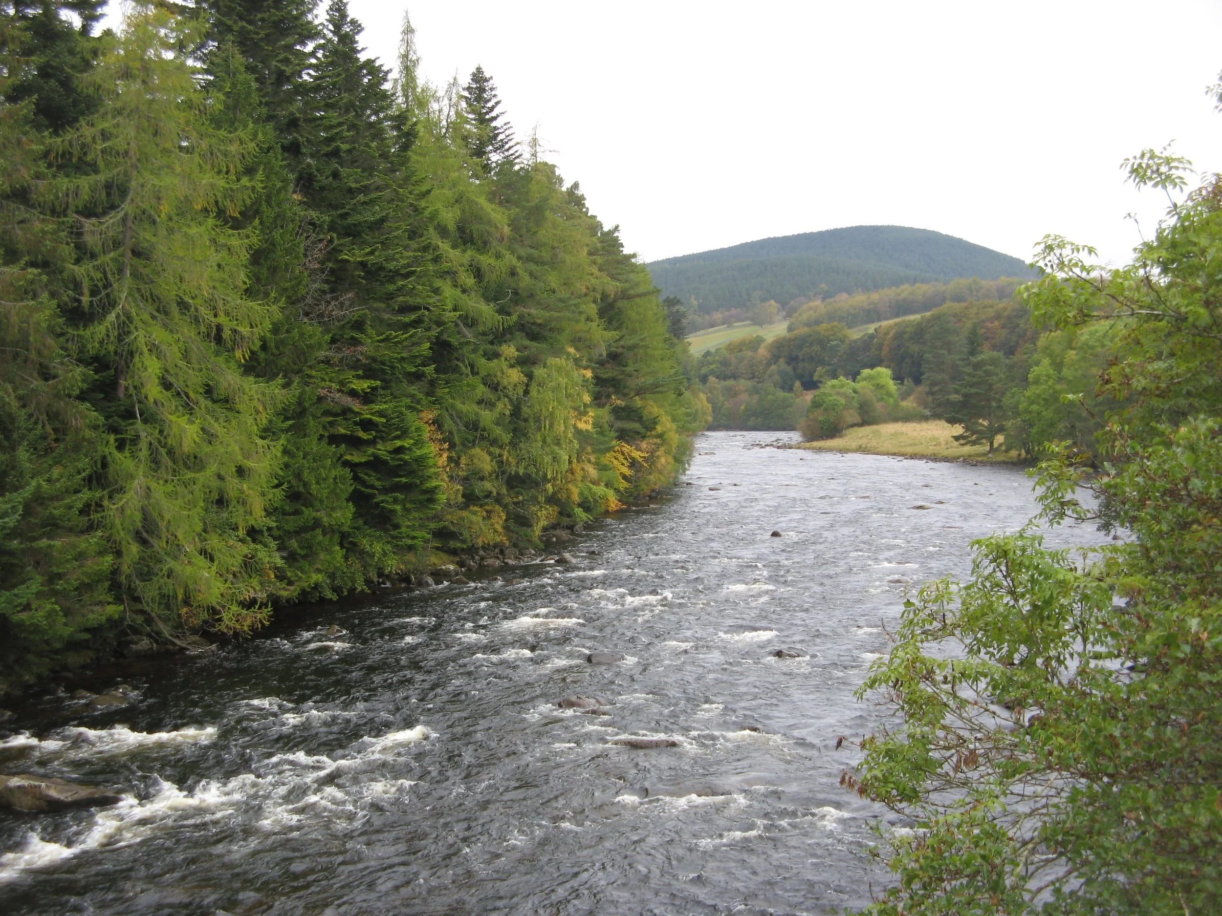 Crutches, Coffee and Caregiving - How to support a loved one through illness.