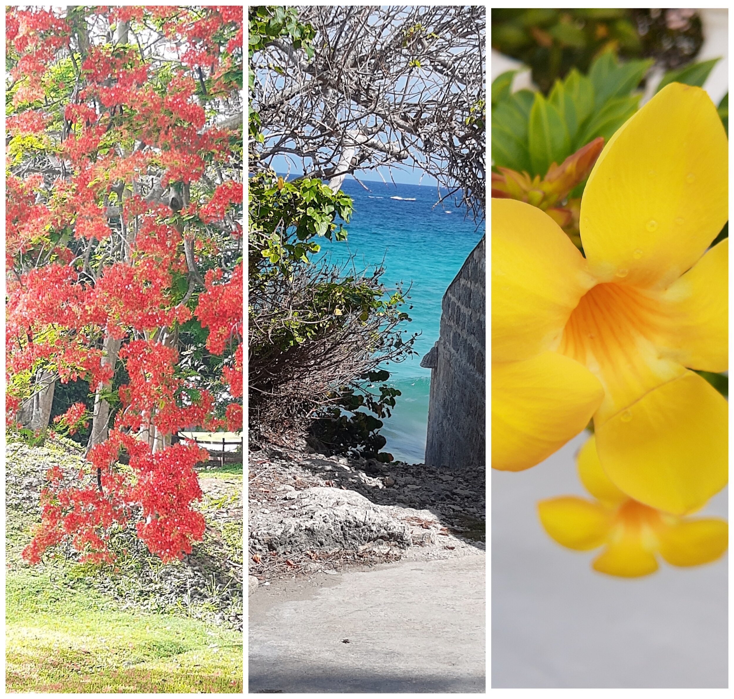 The Muse is always with us!