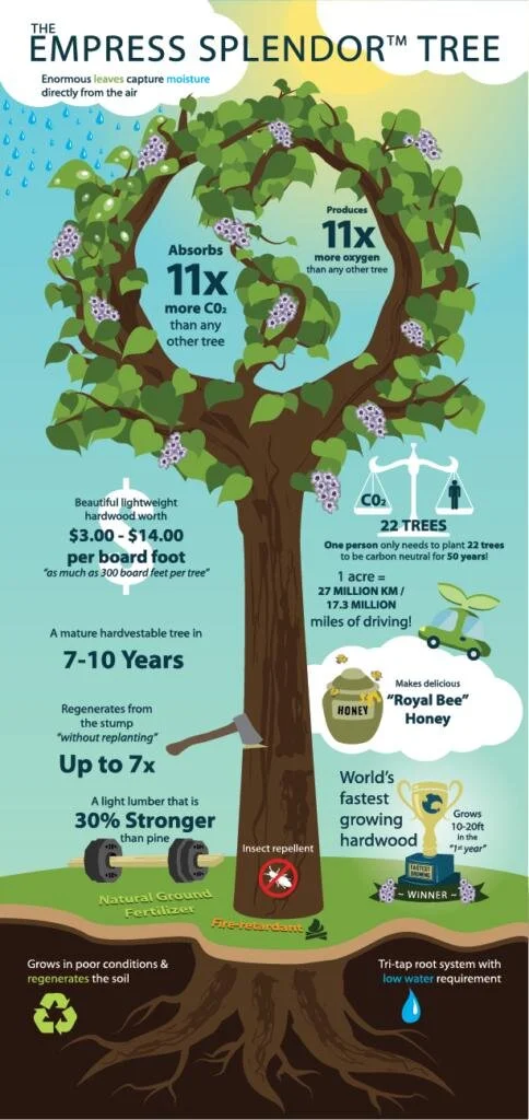 Empress Splendor.jpeg