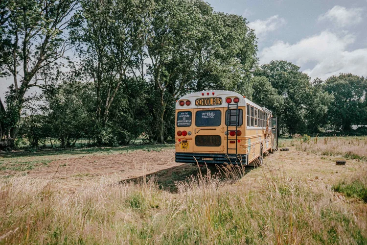 dinobus-16.jpg