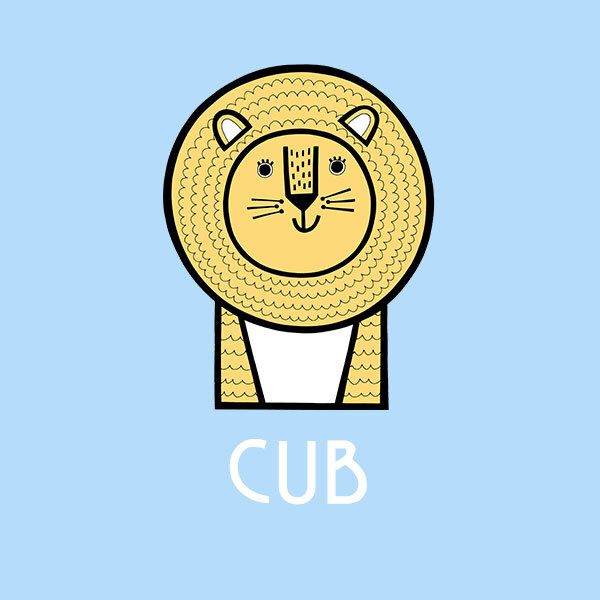 Cub--square.jpg