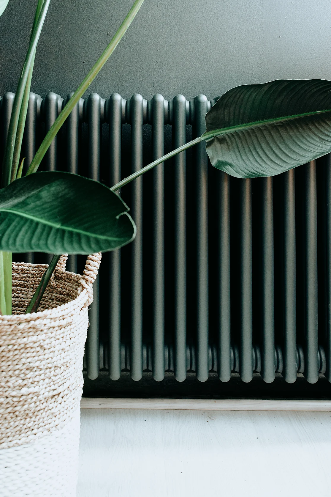 traditionalcastironradiatorheater.jpg