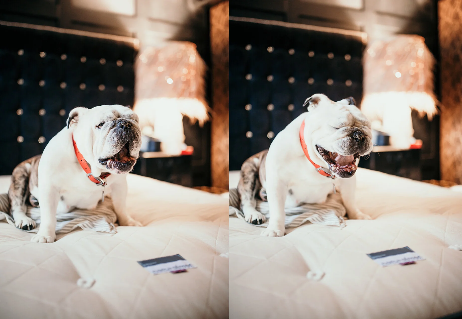 100 Natural Naturalmat Mattress Review Giveaway Style Squeeze