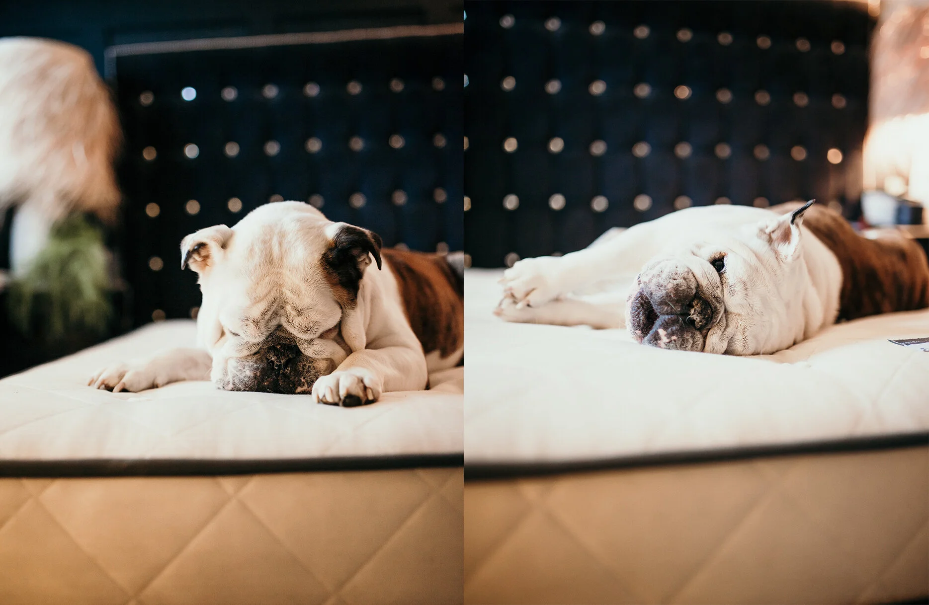 100 Natural Naturalmat Mattress Review Giveaway Style Squeeze