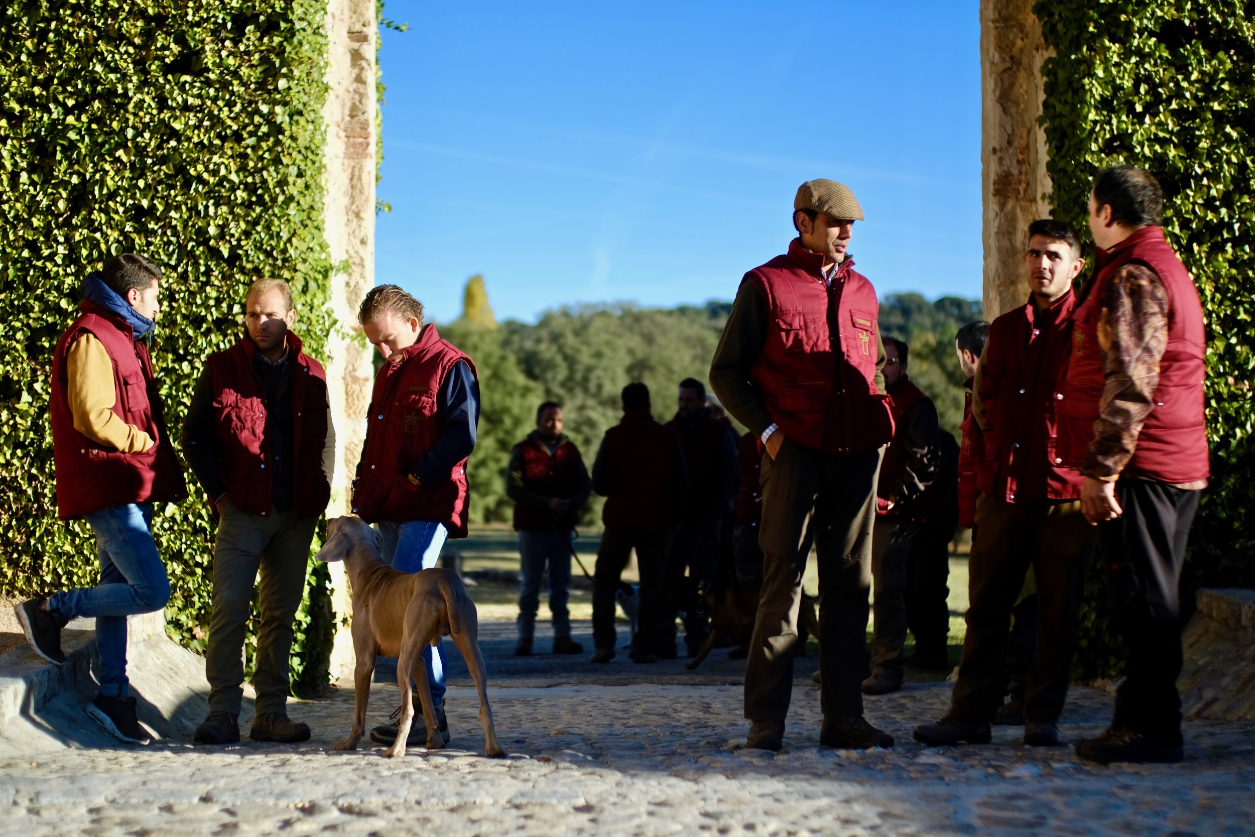 quintanar-partridge-shooting-spain