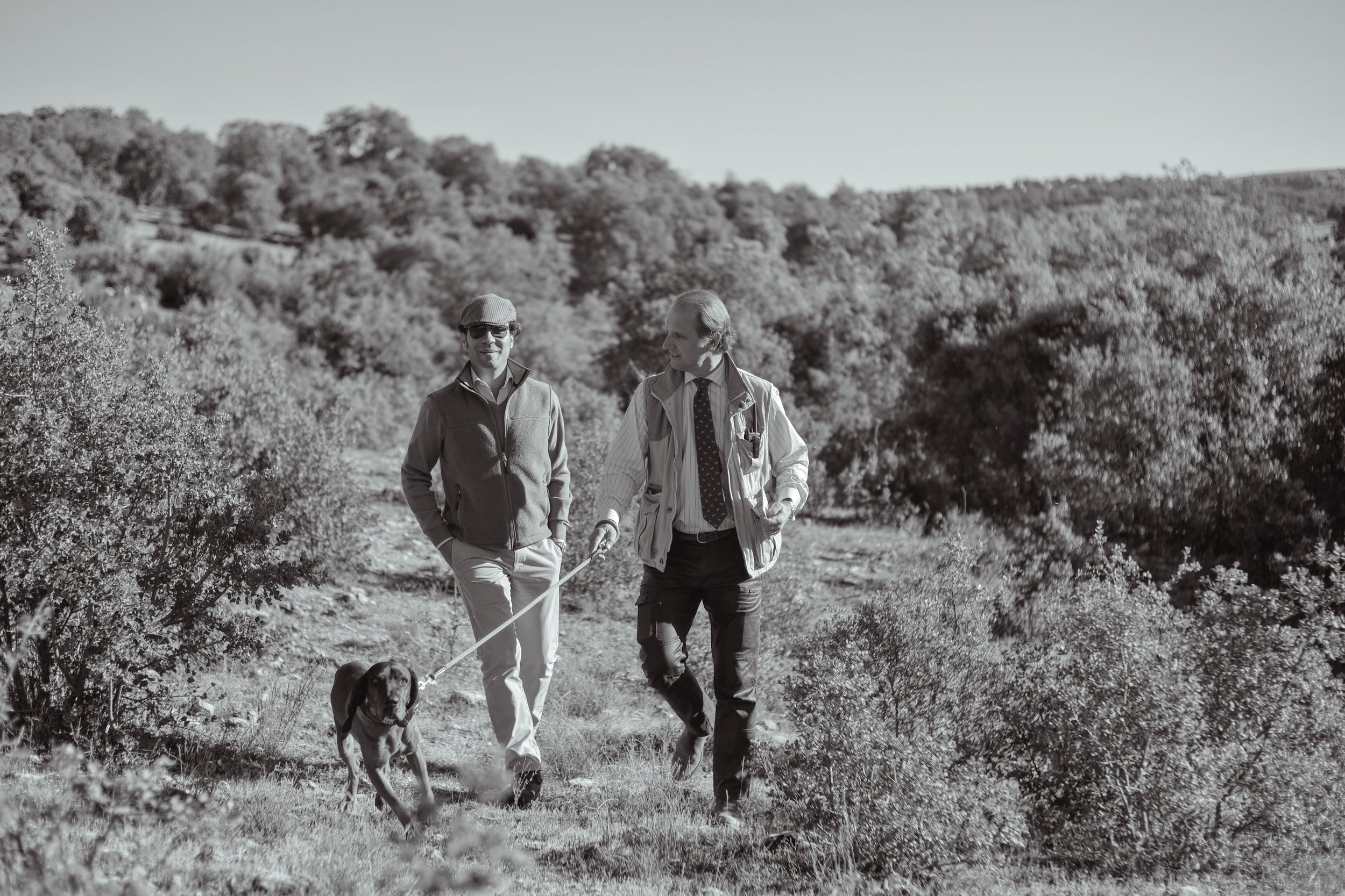 quintanar-partridge-shooting-spain