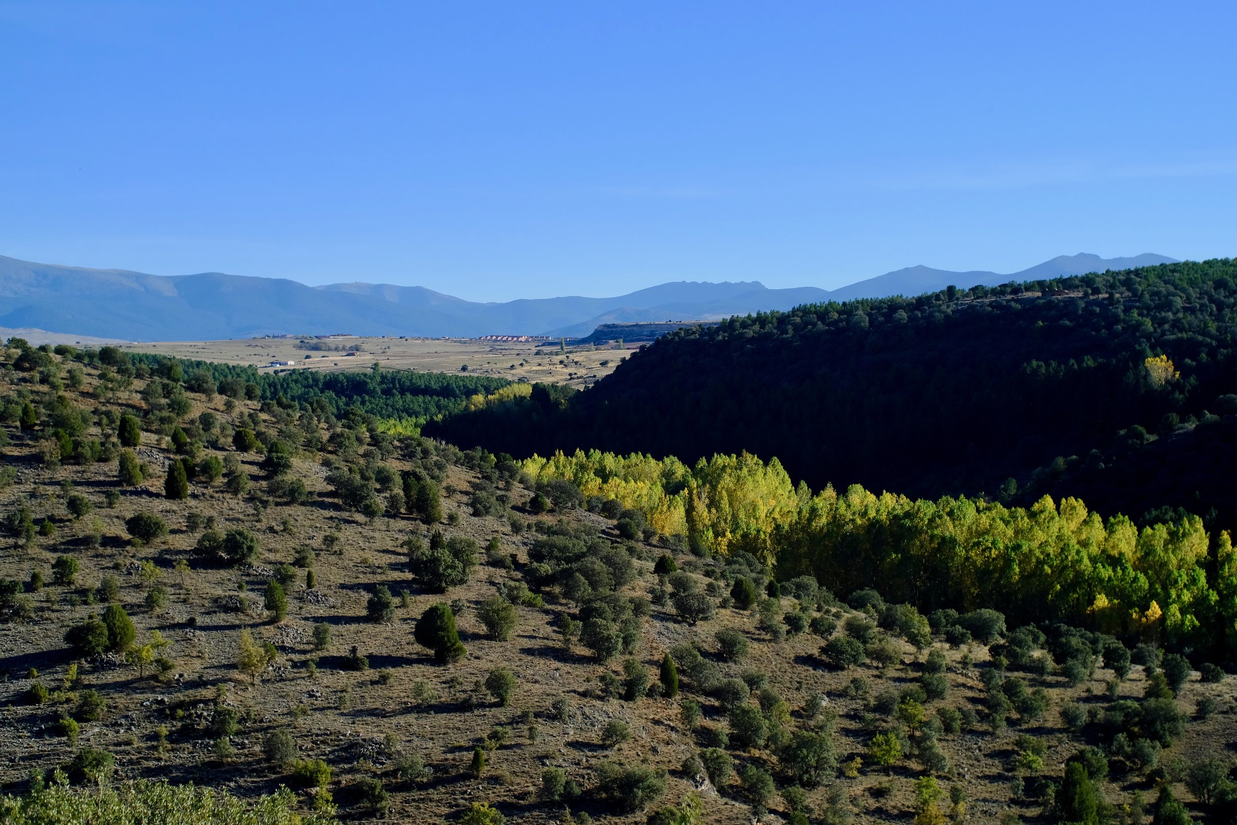 DSCF9954.jpg