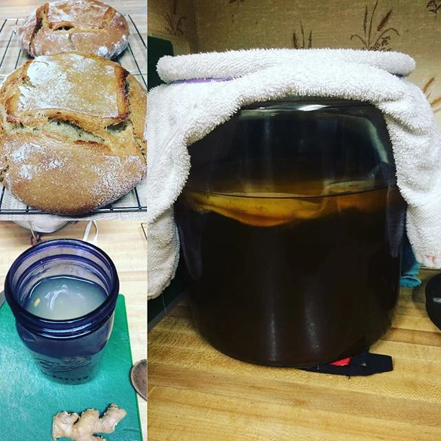 Finding tasty ways to stay healthy and boost our immunity with fermentation. Learning to make our einkorn sourdough, and reviving the ginger bug and kombucha has been fun!