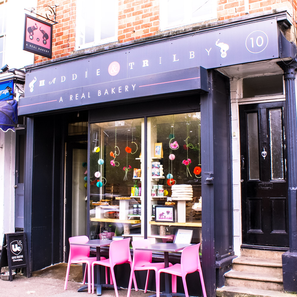 Haddie and Trilby located at 10 Regent St, Leamington Spa CV32 5HQ